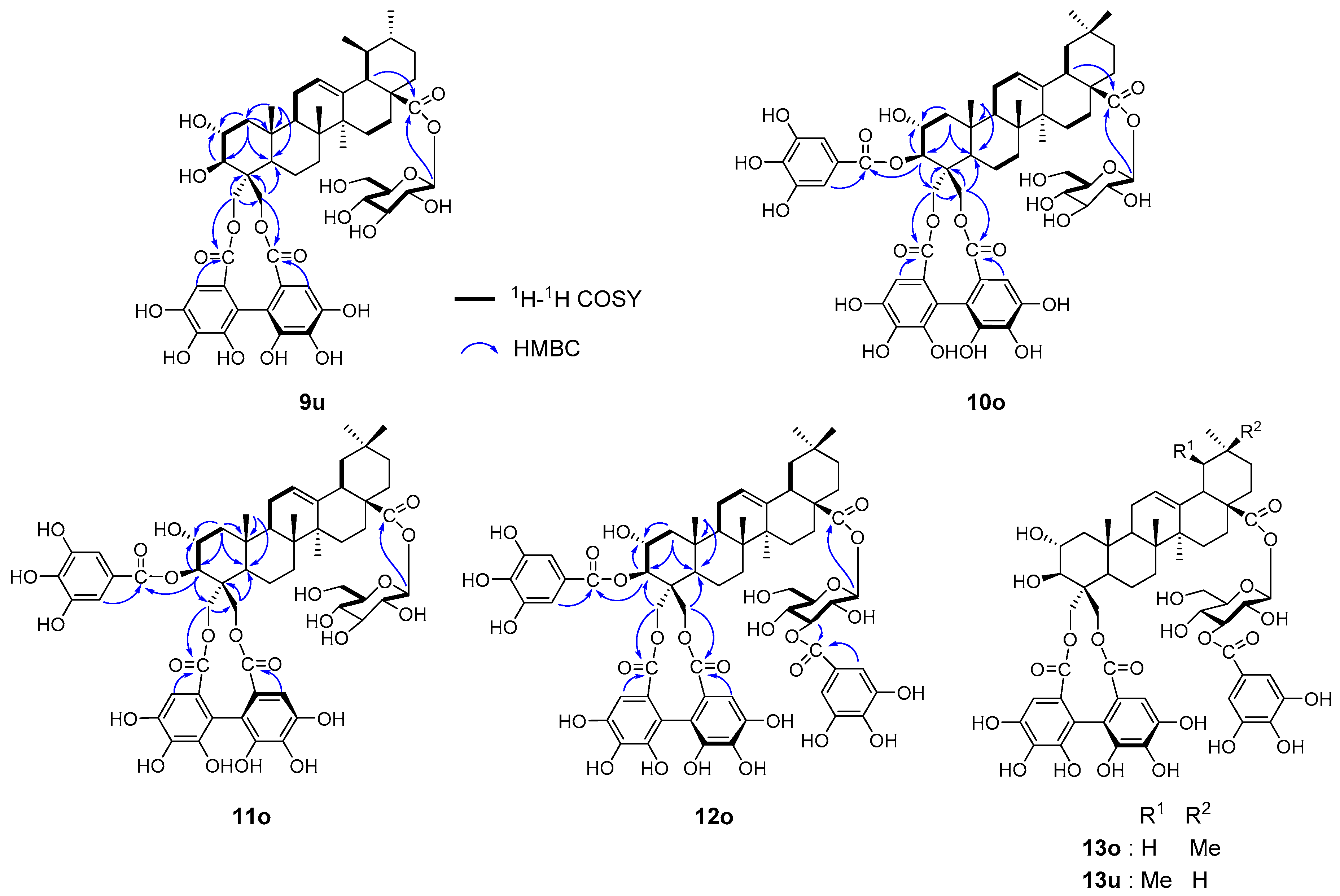Molecules 24 04279 g005