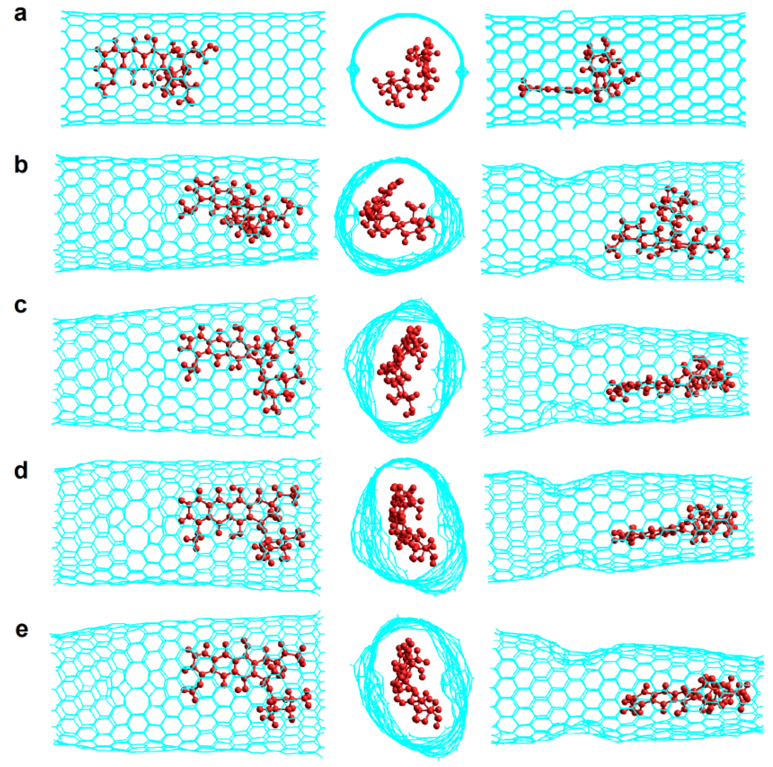 Molecules 24 04281 g007