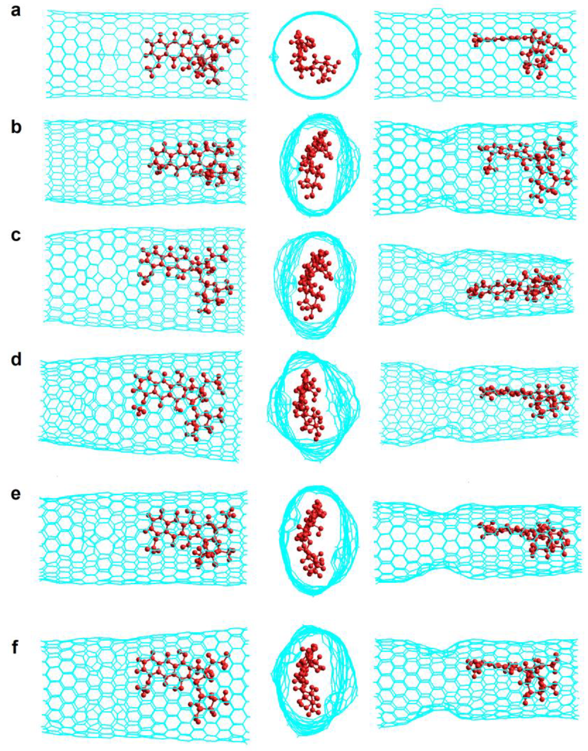 Molecules 24 04281 g008