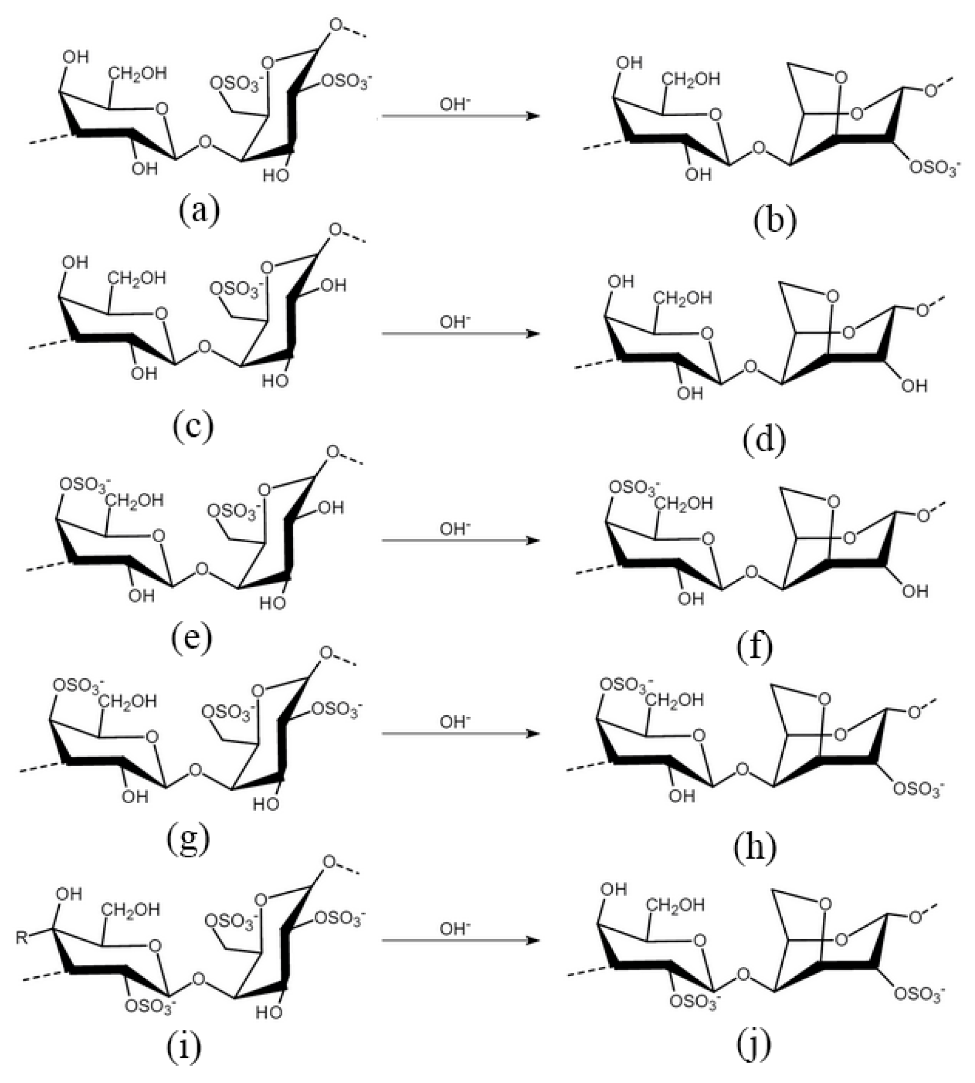 Molecules Free Full Text Anti Cancer Activity Of Porphyran And Carrageenan From Red Seaweeds Html