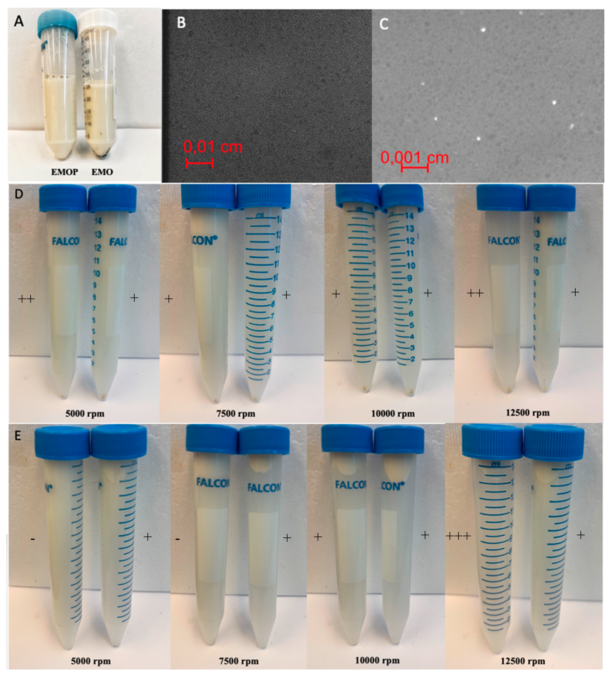 Molecules 24 04288 g005 Molecules 24 04288 g005