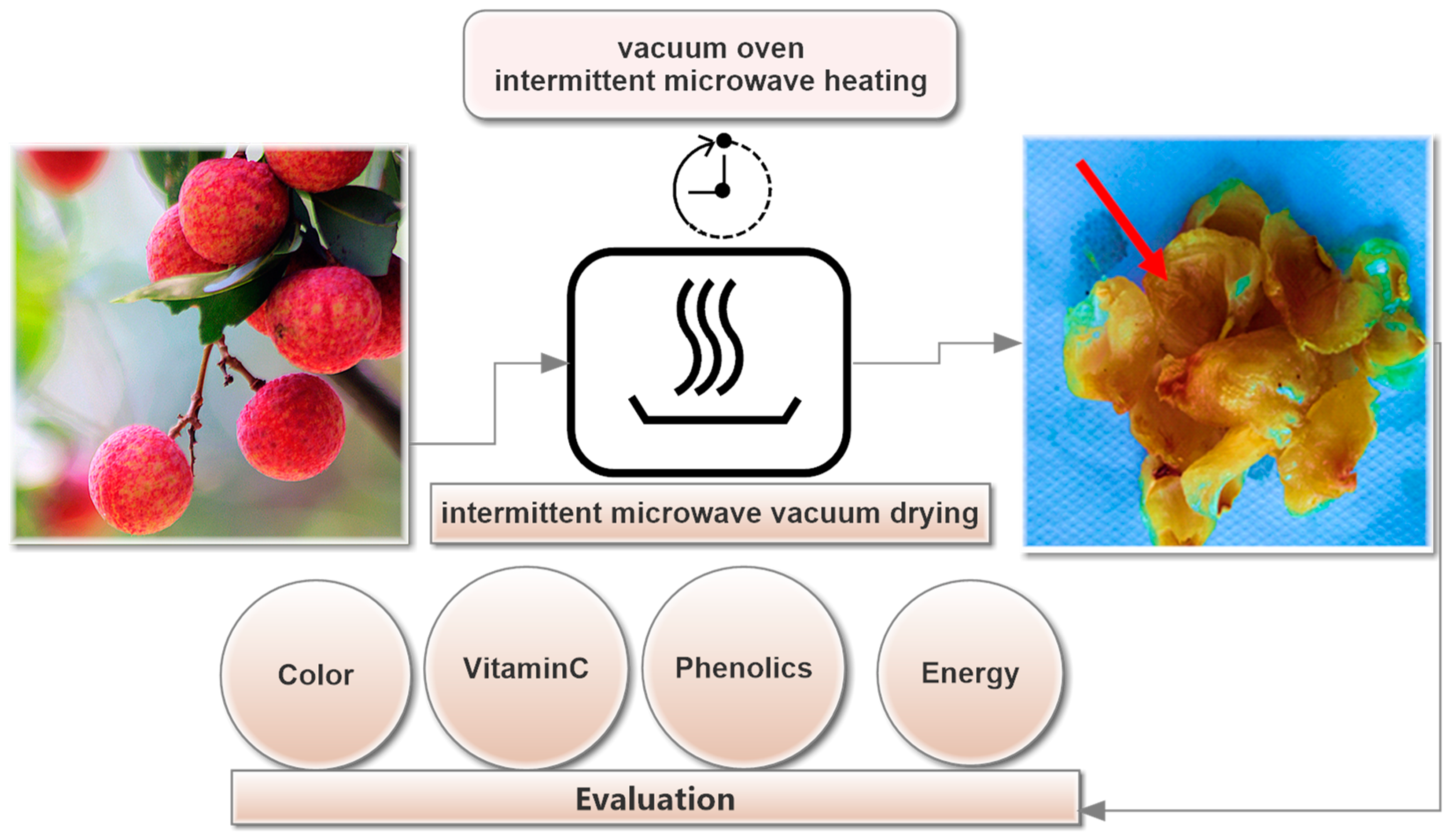 Molecules 24 04291 g004 Molecules 24 04291 g004