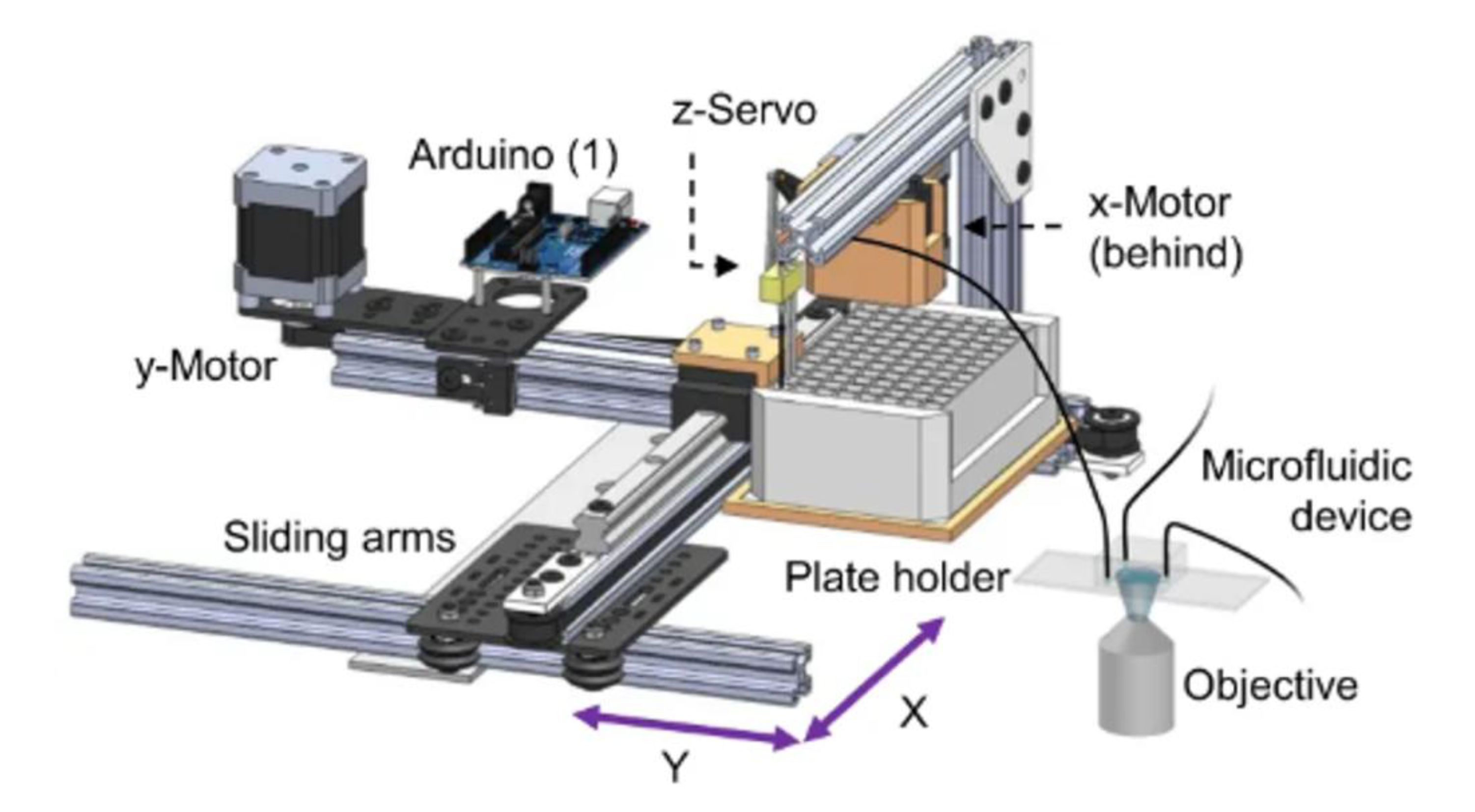 Molecules 24 04292 g008