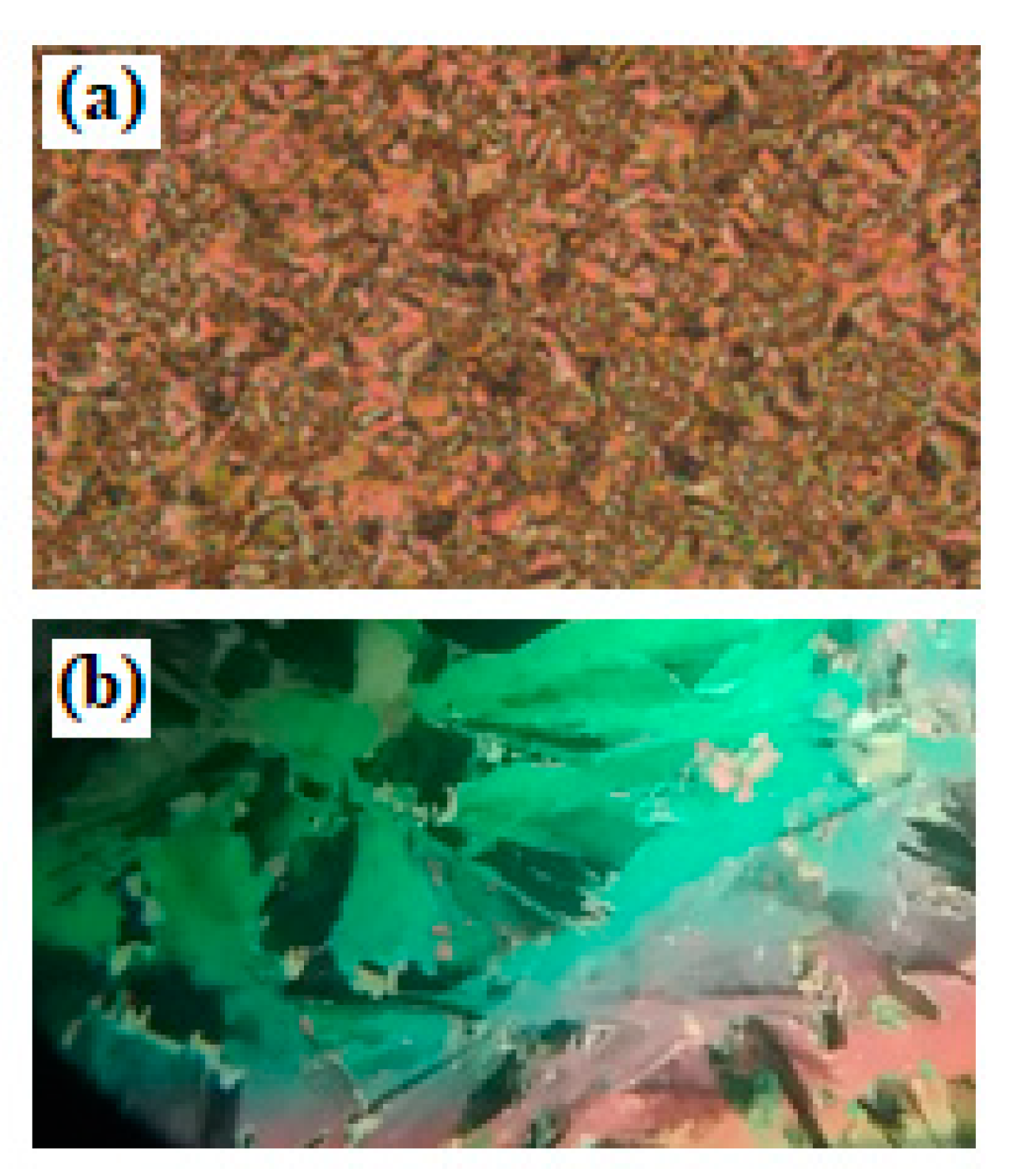 Molecules 24 04293 g002 Molecules 24 04293 g002