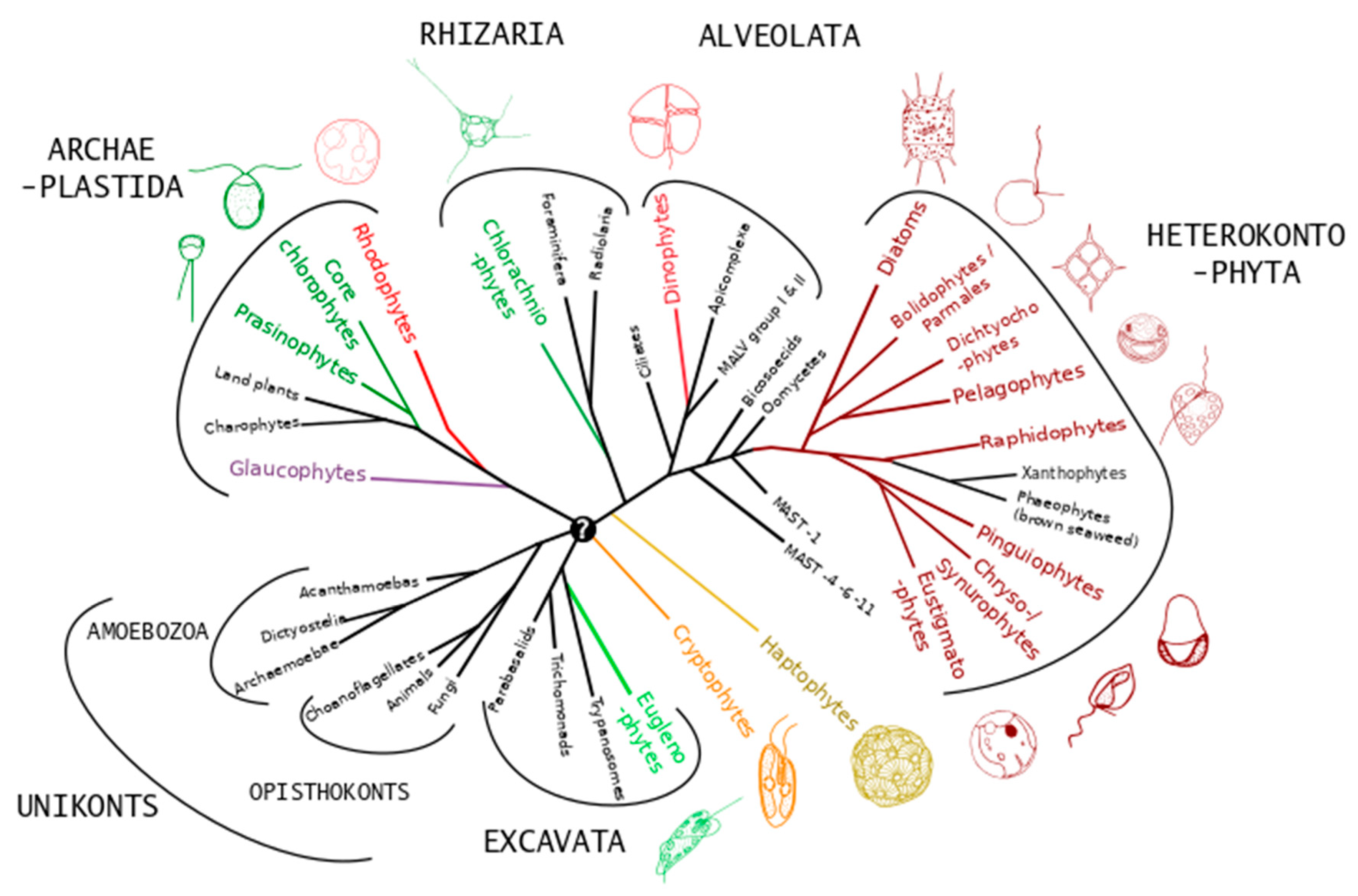 Molecules 24 04296 g002 Molecules 24 04296 g002