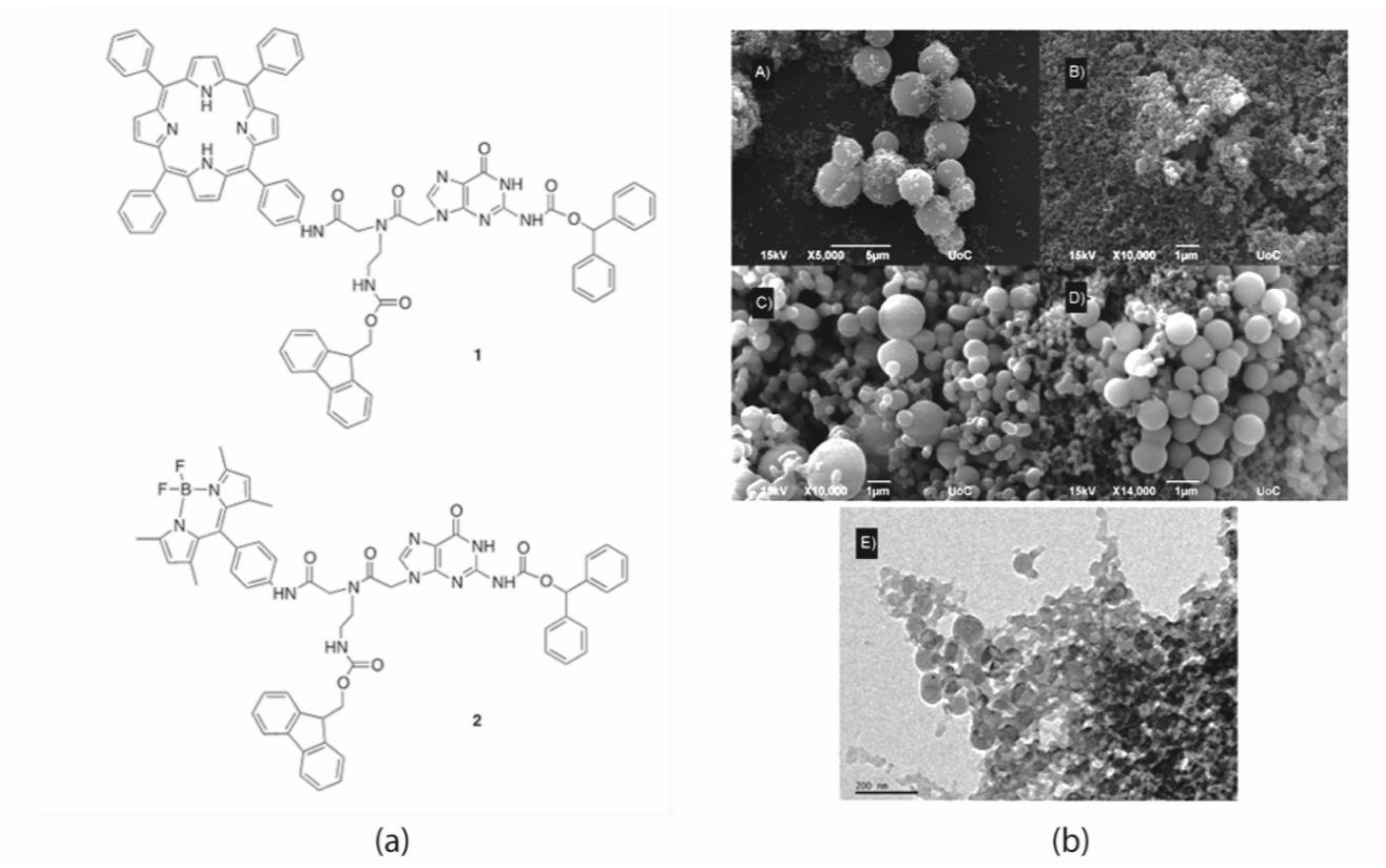 Molecules 24 04307 g001