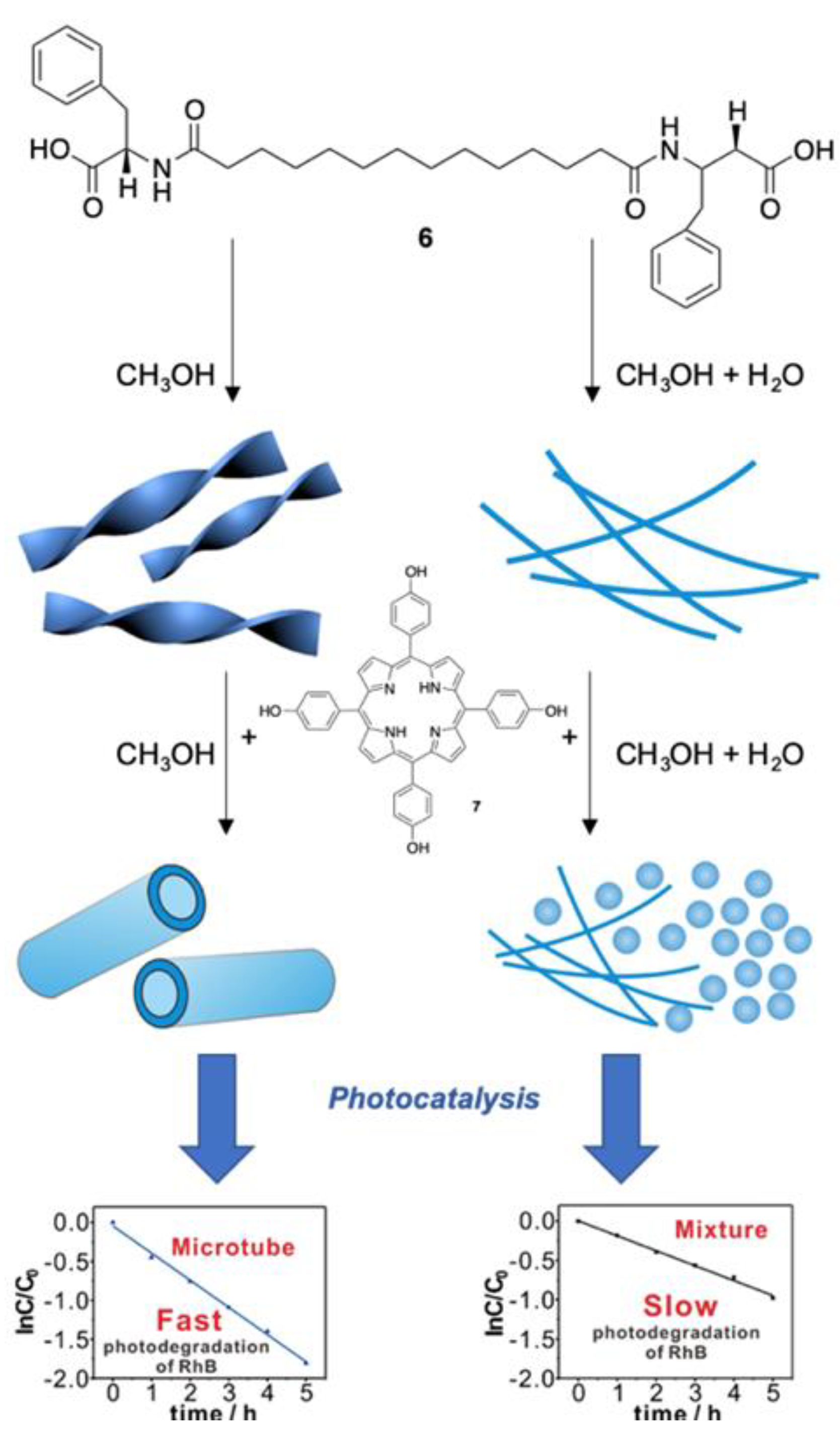 Molecules 24 04307 g006