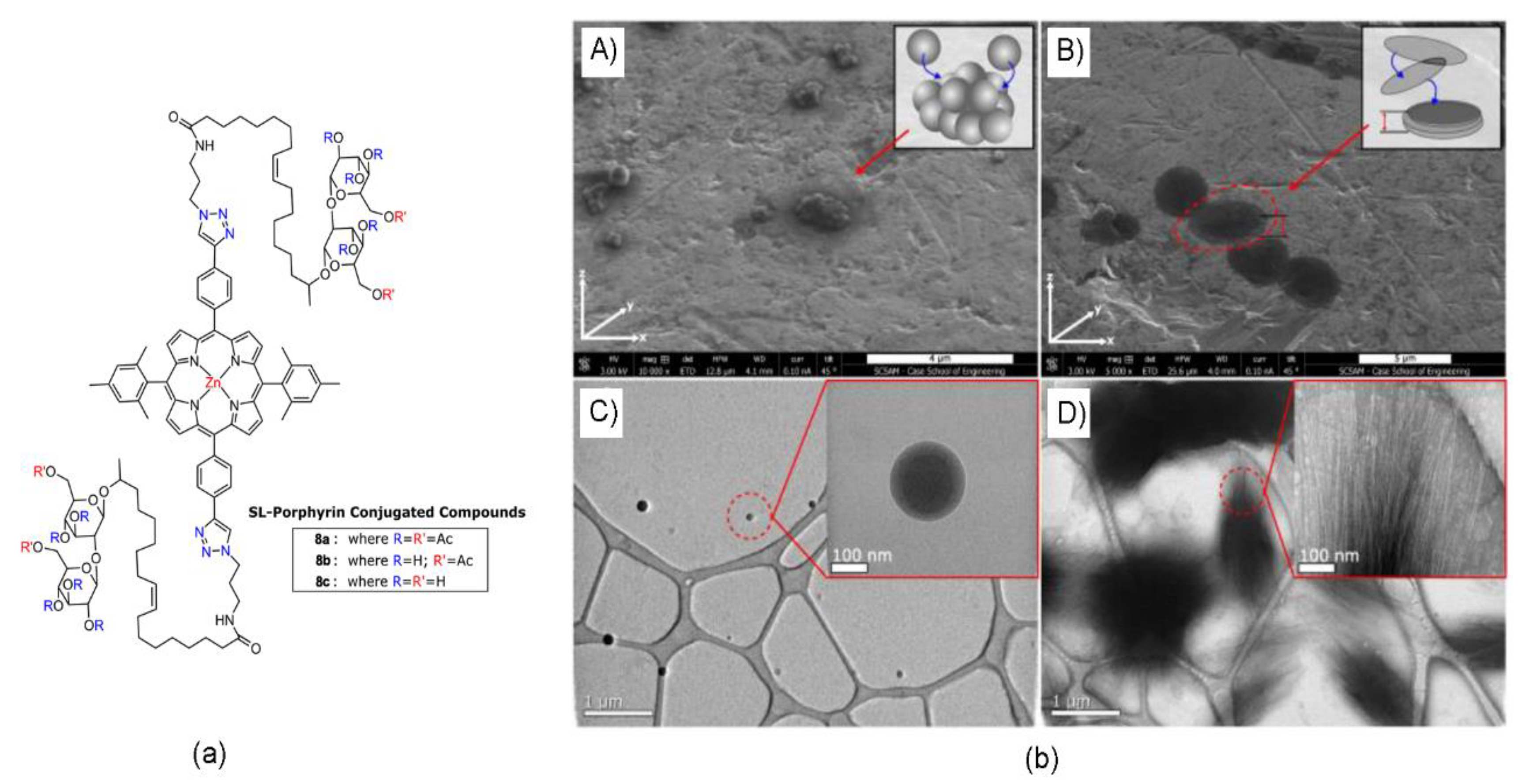 Molecules 24 04307 g007
