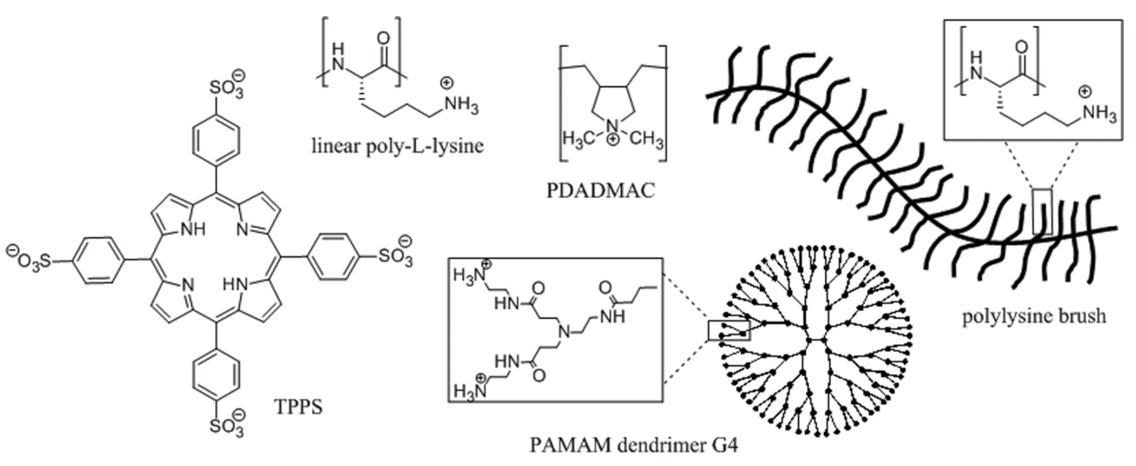 Molecules 24 04307 g014