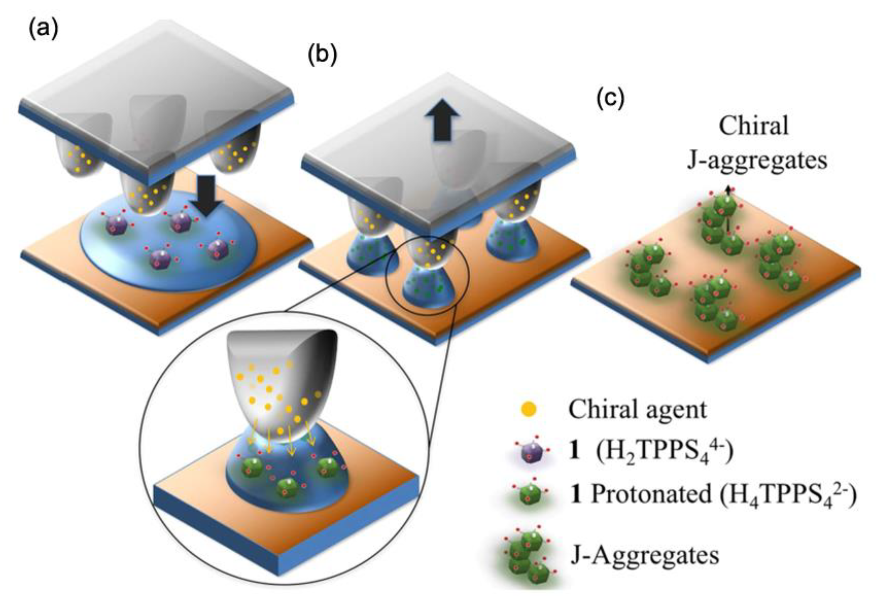 Molecules 24 04307 g015