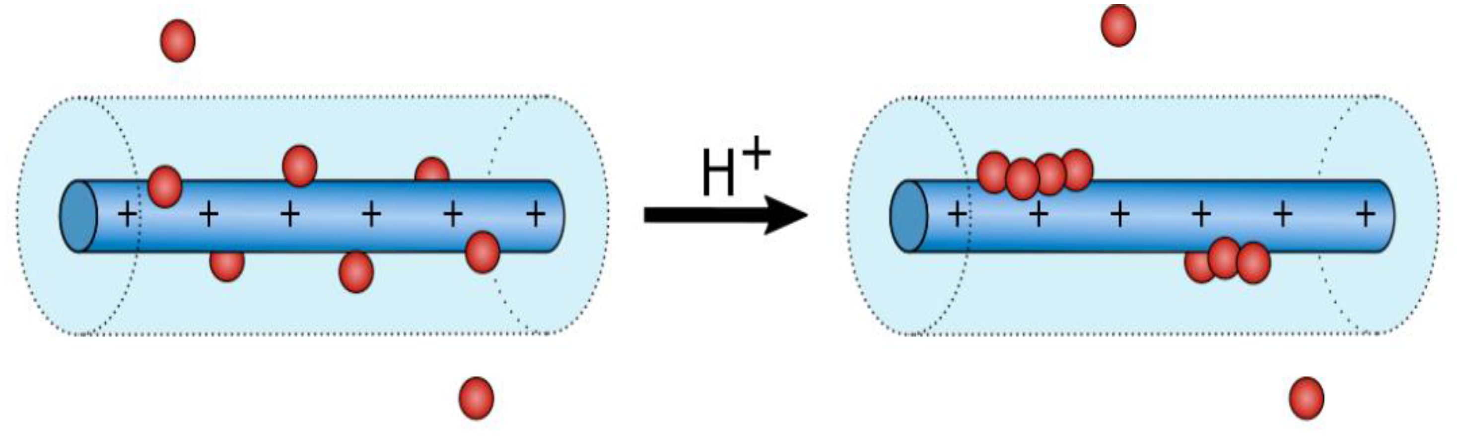 Molecules 24 04307 g017