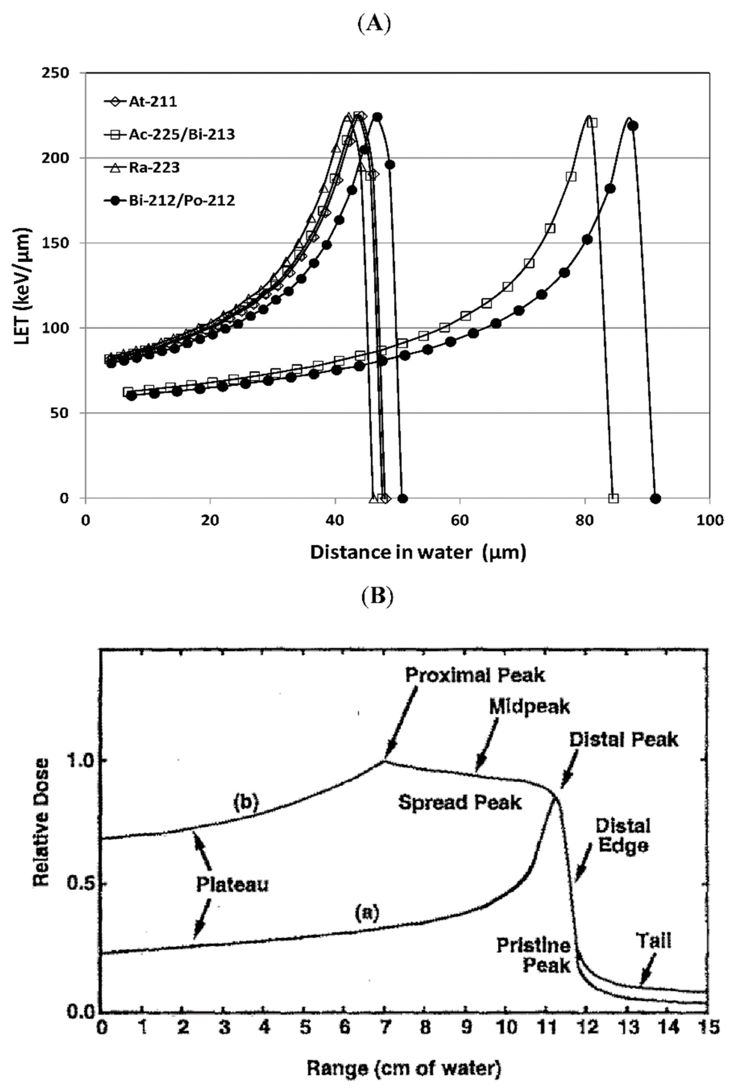 Molecules 24 04314 g002 Molecules 24 04314 g002