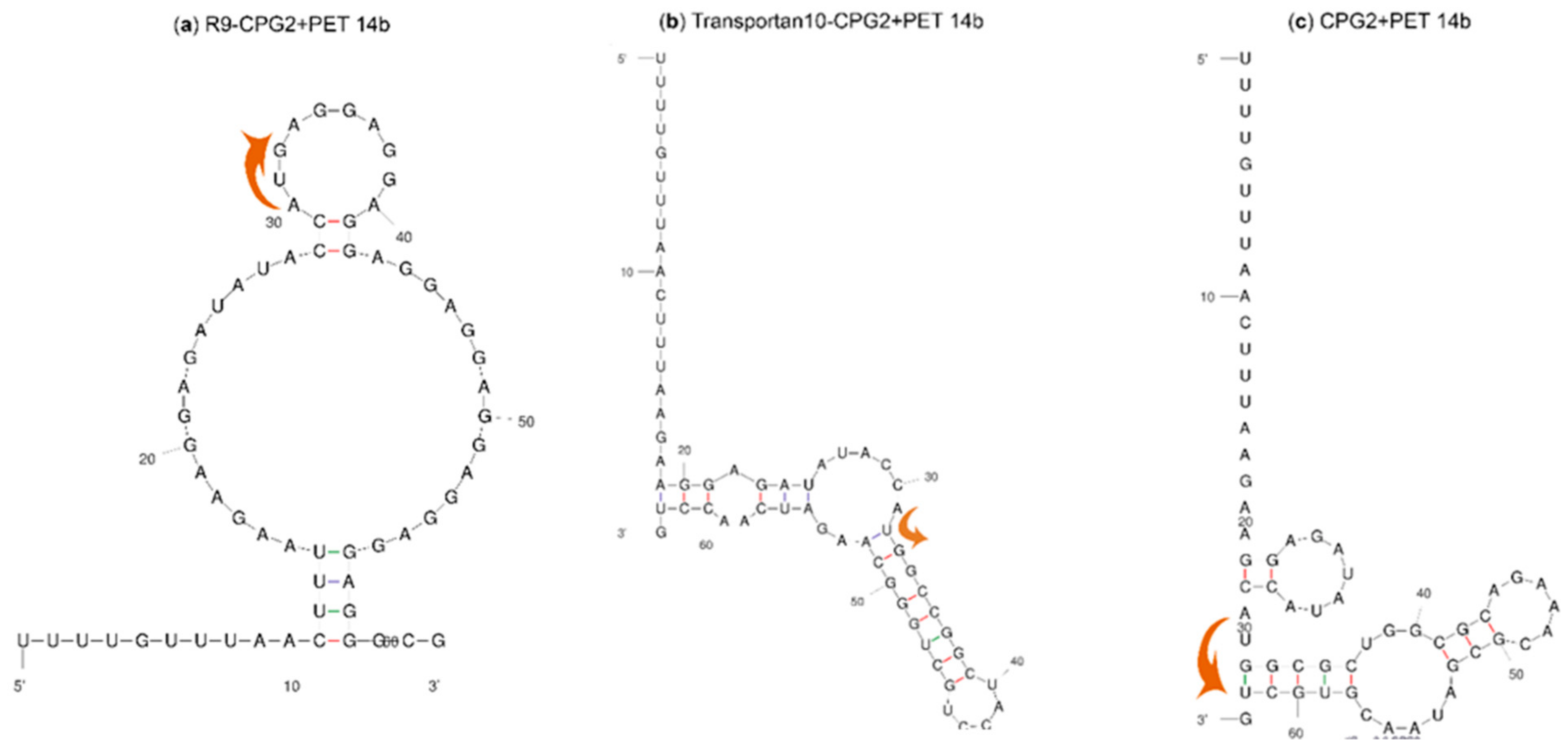 Molecules 24 04318 g002