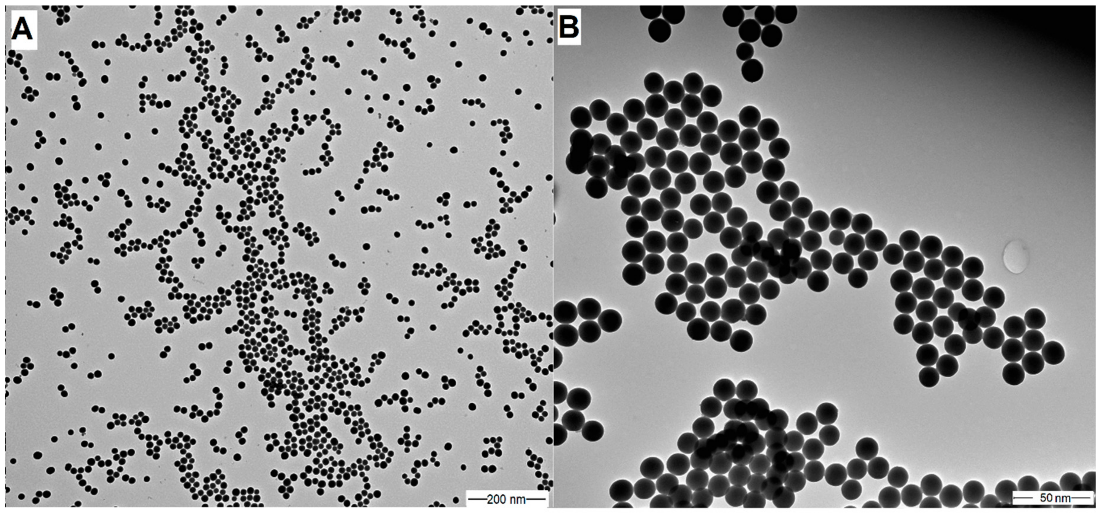 Molecules 24 04321 g001