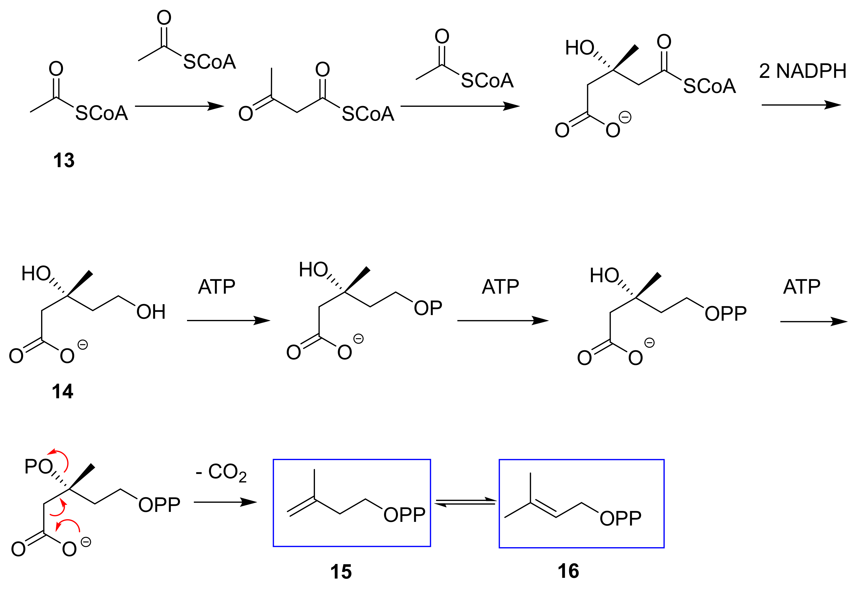 Molecules 24 04322 sch001