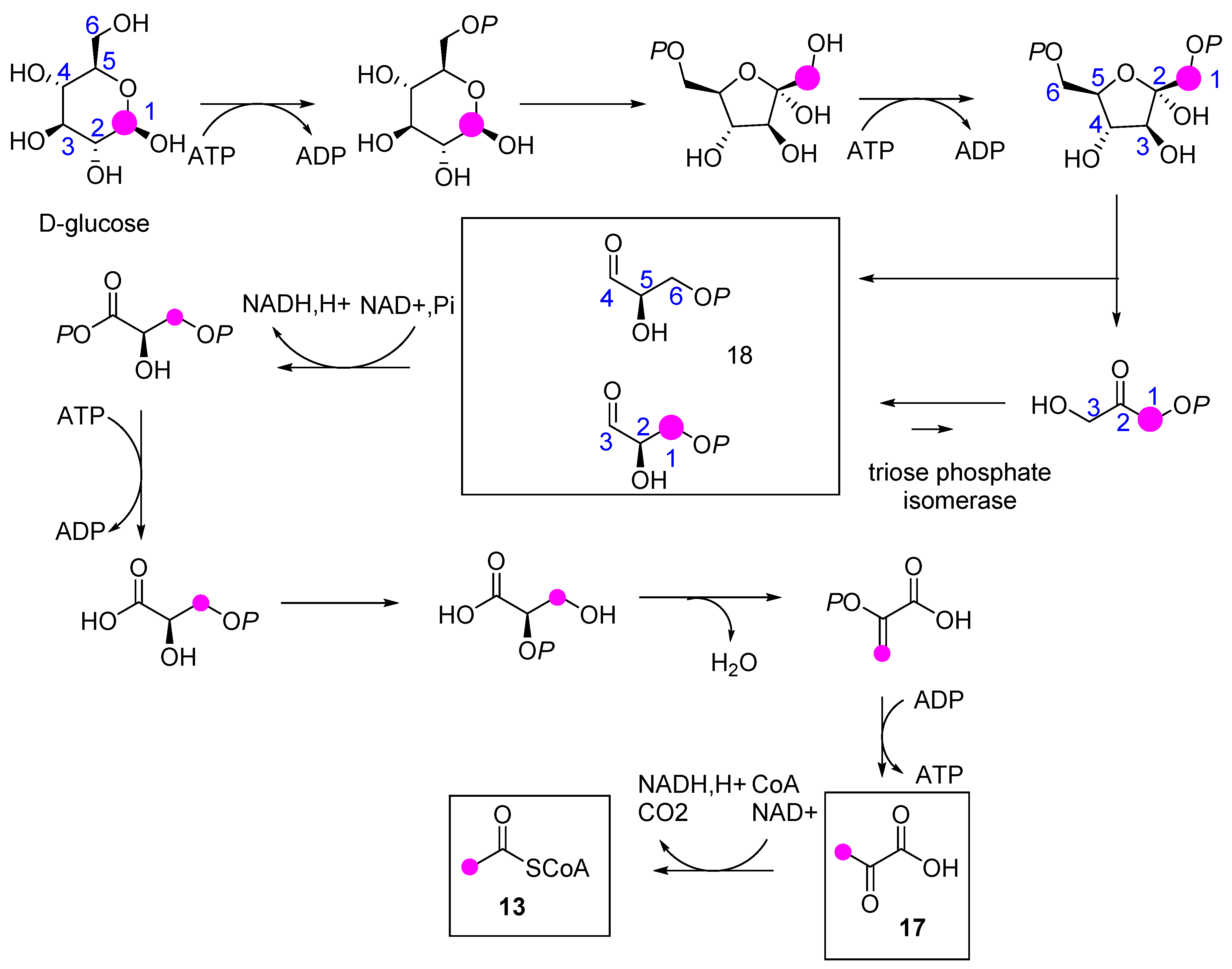 Molecules 24 04322 sch003