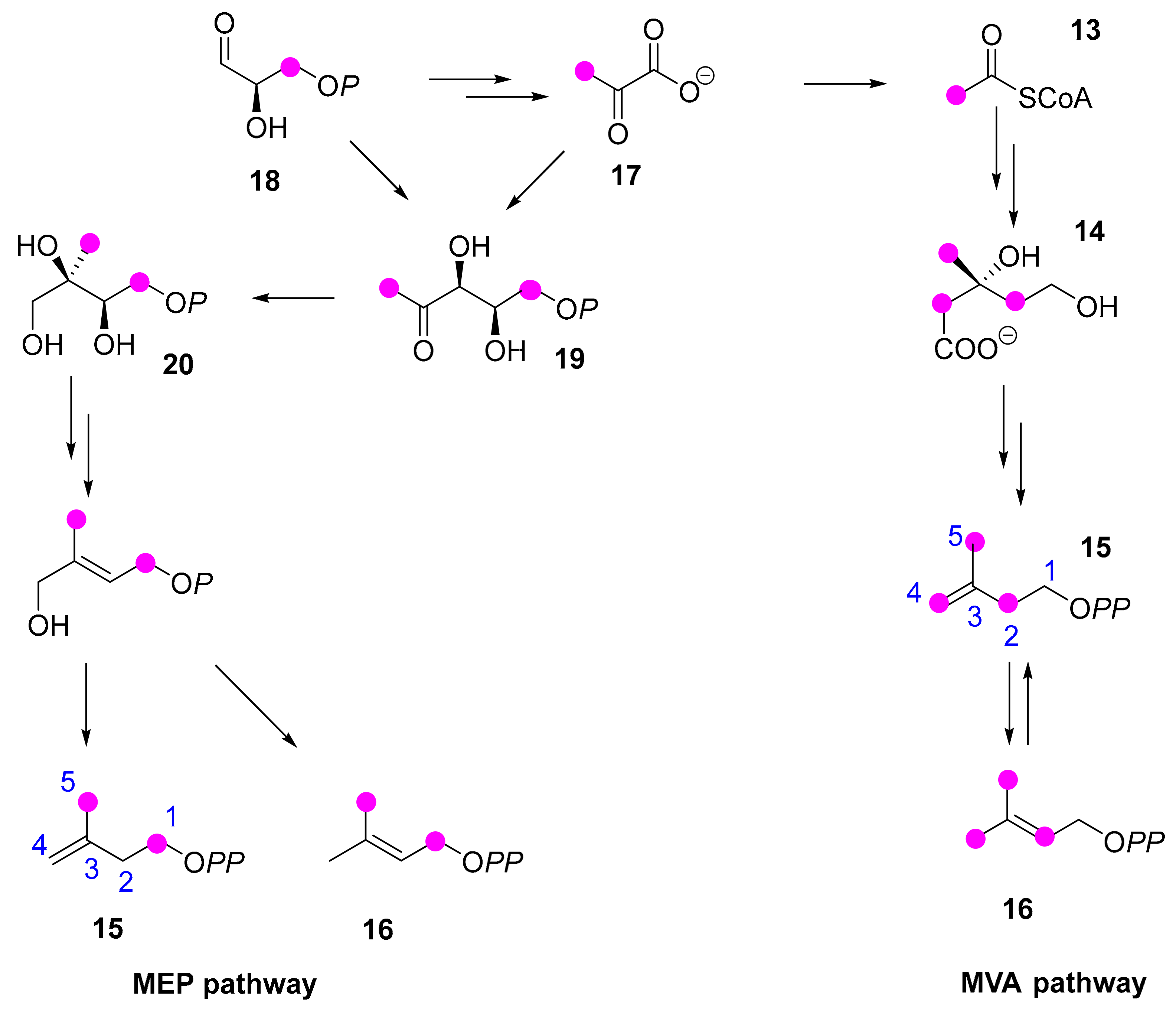Molecules 24 04322 sch004