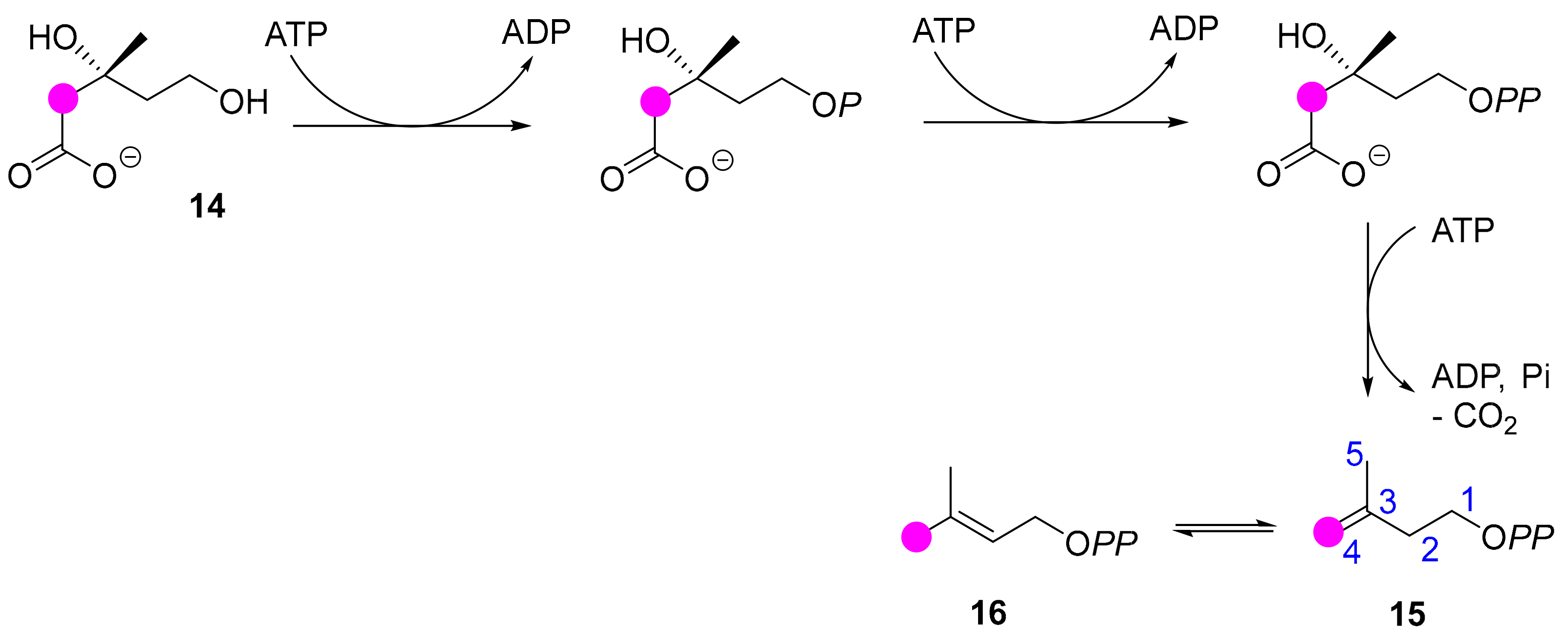 Molecules 24 04322 sch005