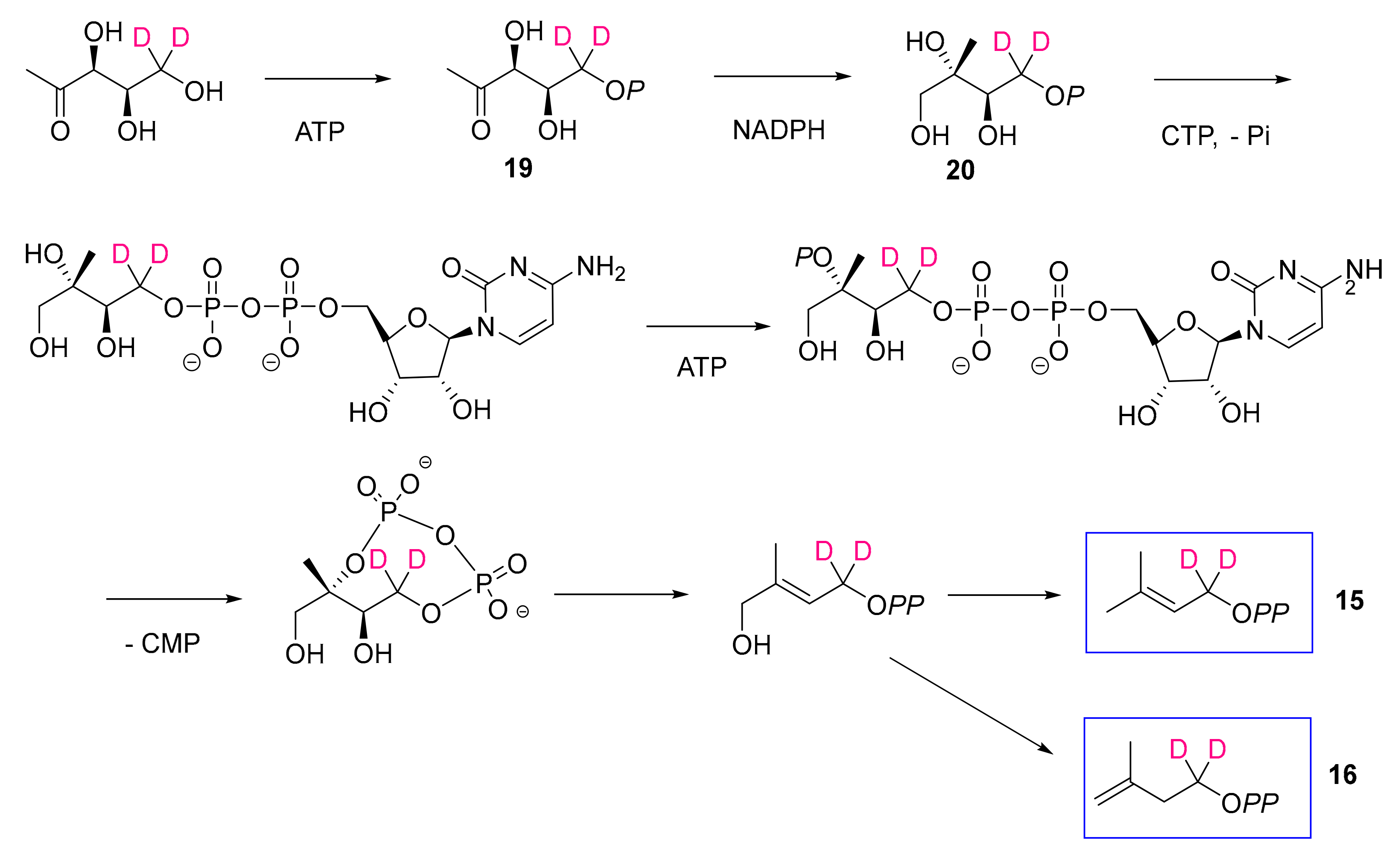 Molecules 24 04322 sch006