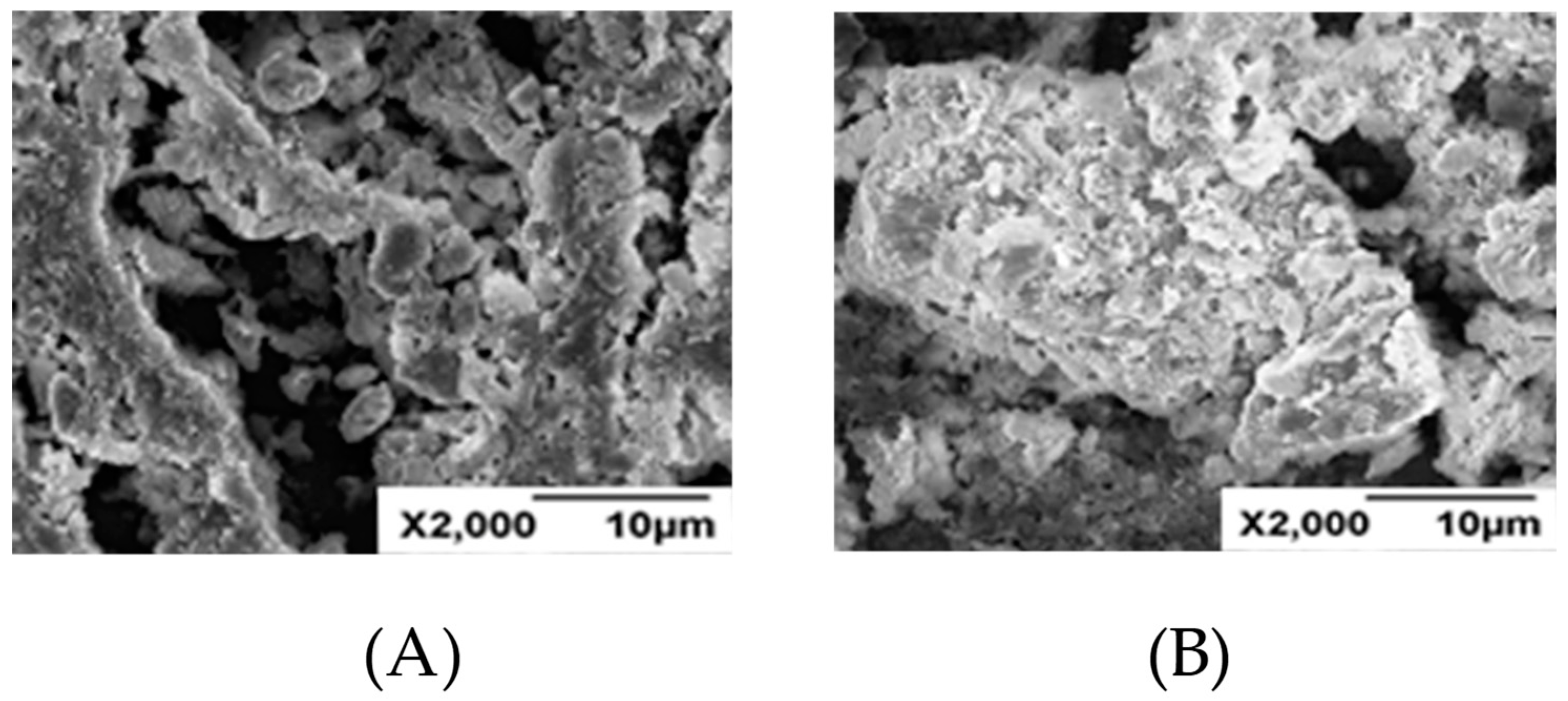 Molecules 24 04331 g006 Molecules 24 04331 g006