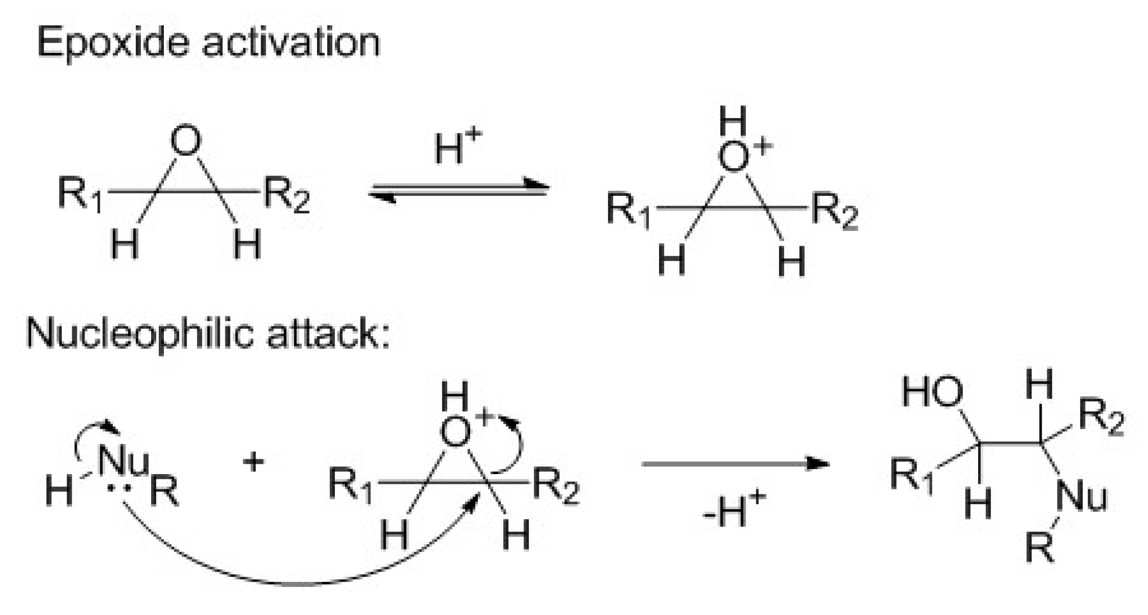 Molecules 24 04332 sch001 550