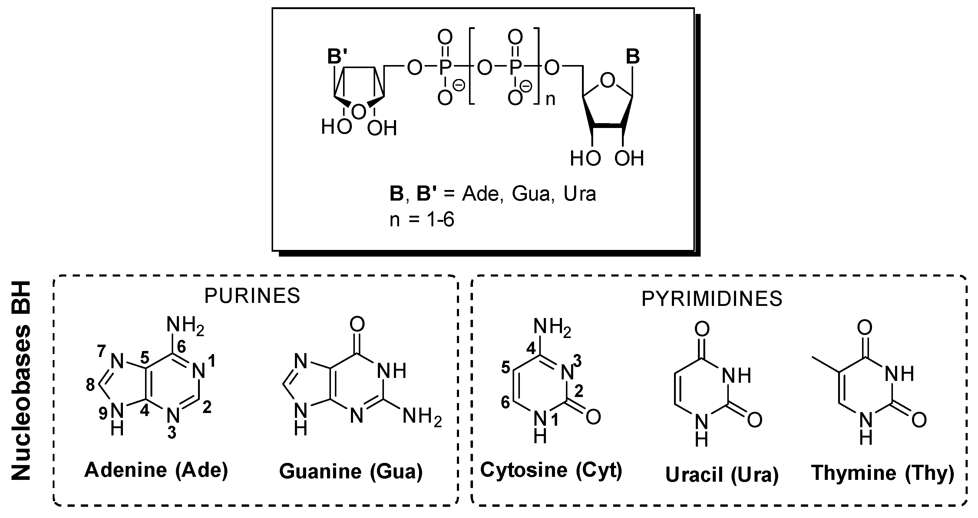 Molecules 24 04334 g001
