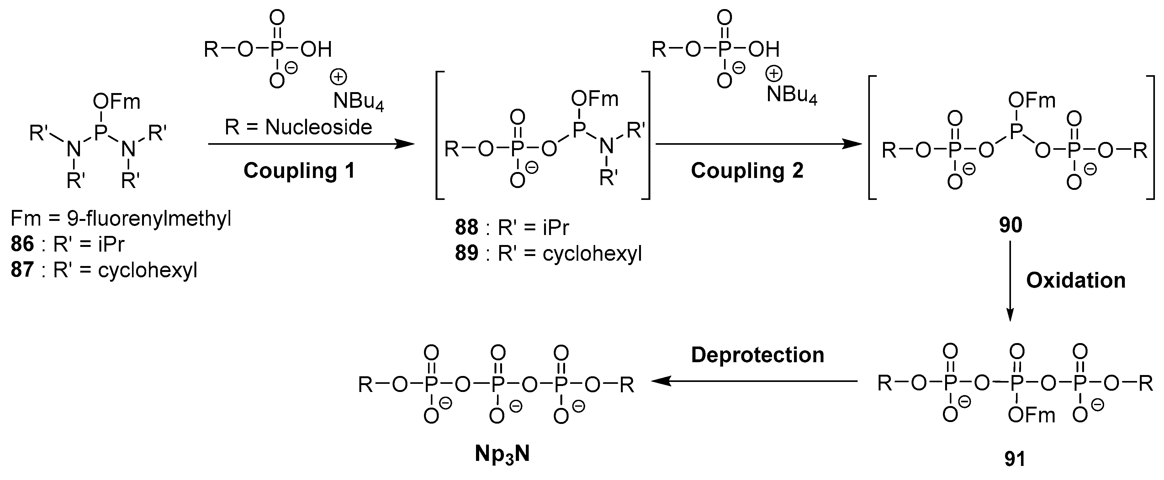 Molecules 24 04334 g007