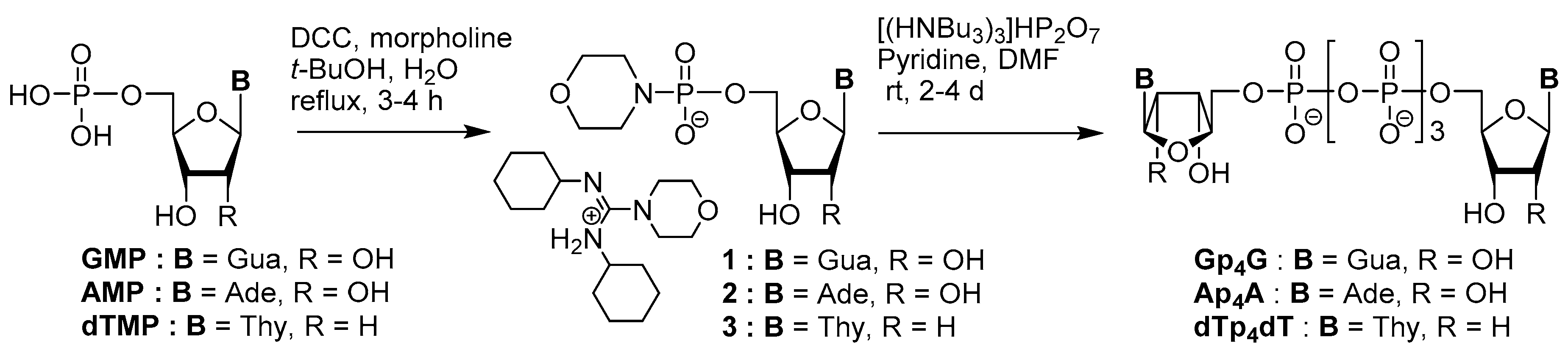 Molecules 24 04334 sch001