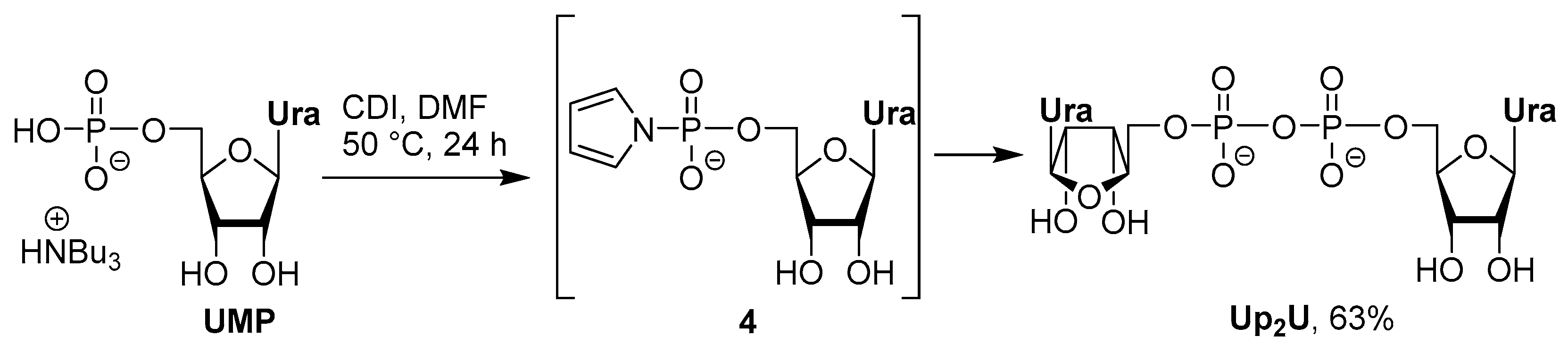 Molecules 24 04334 sch002