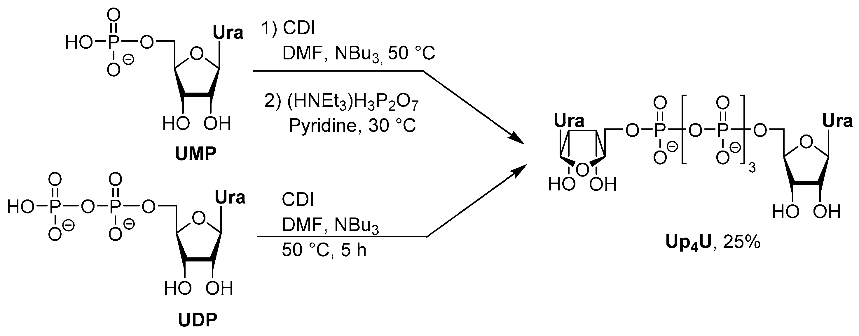 Molecules 24 04334 sch003