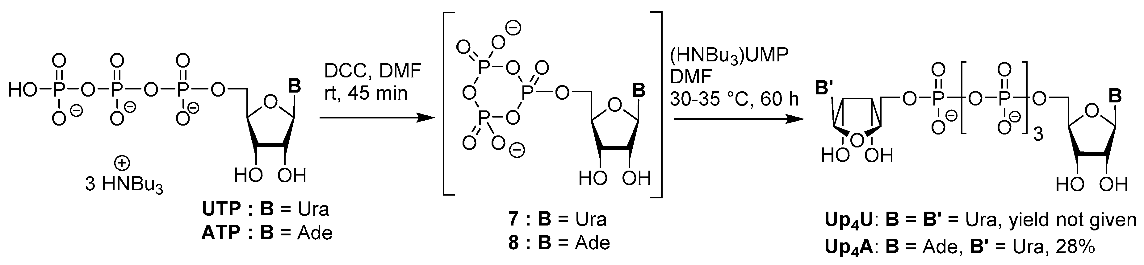 Molecules 24 04334 sch006