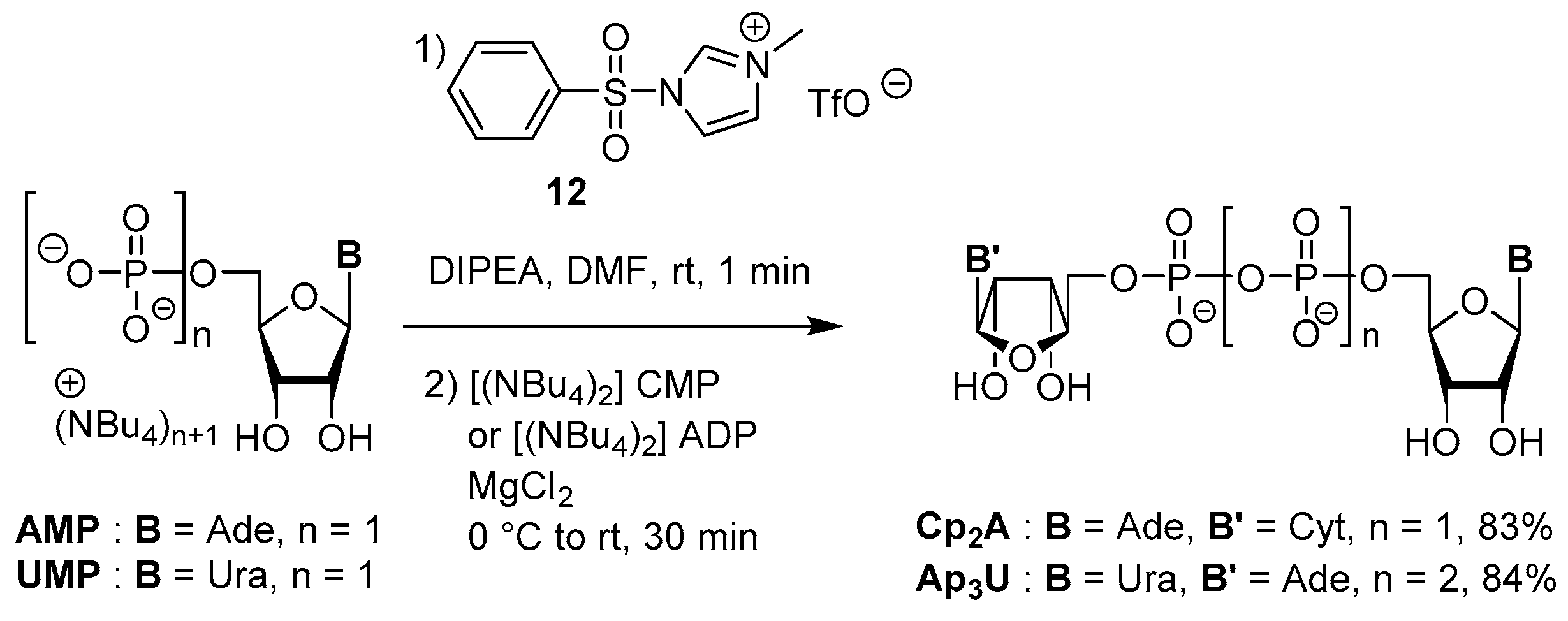 Molecules 24 04334 sch012