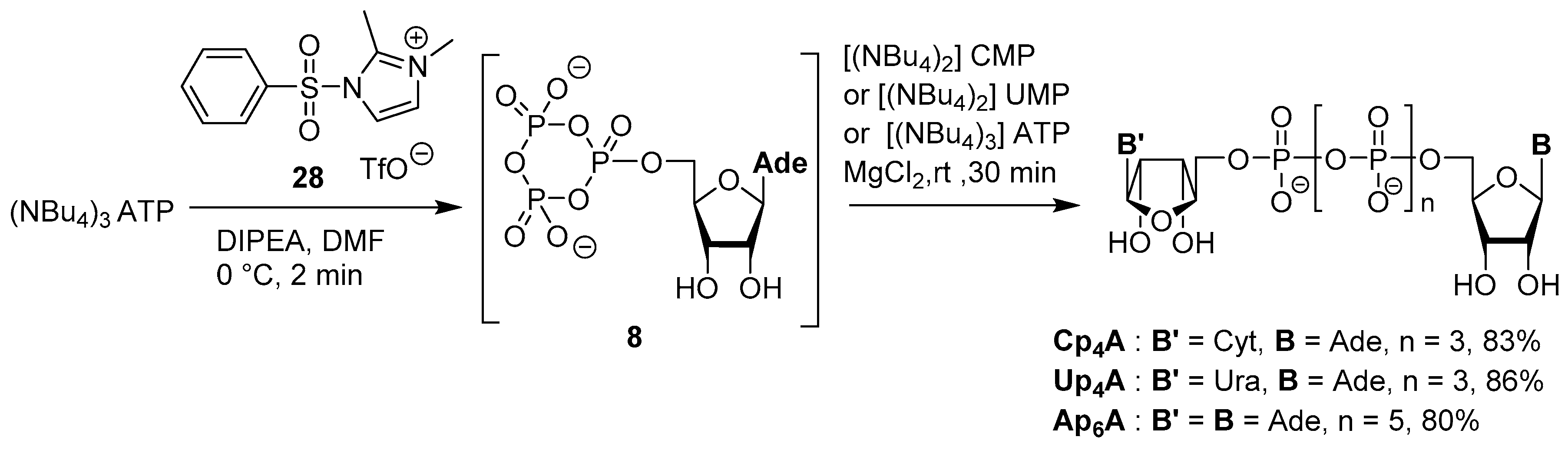 Molecules 24 04334 sch013