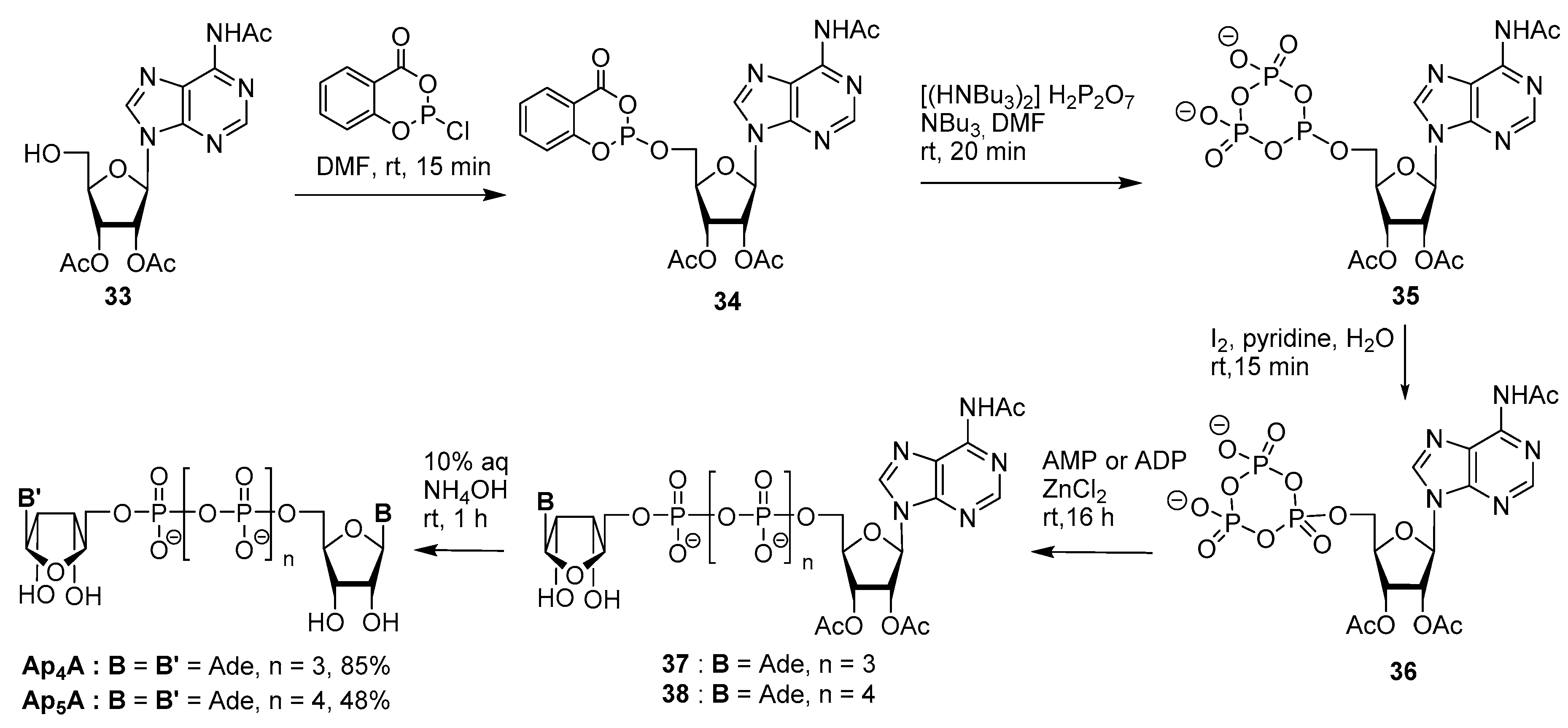 Molecules 24 04334 sch017