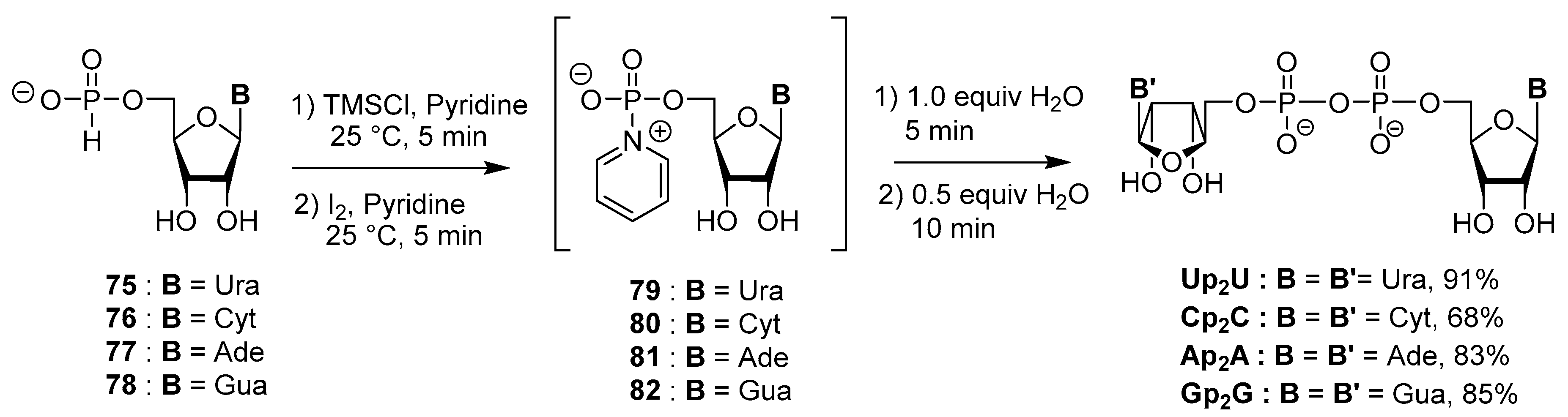 Molecules 24 04334 sch024