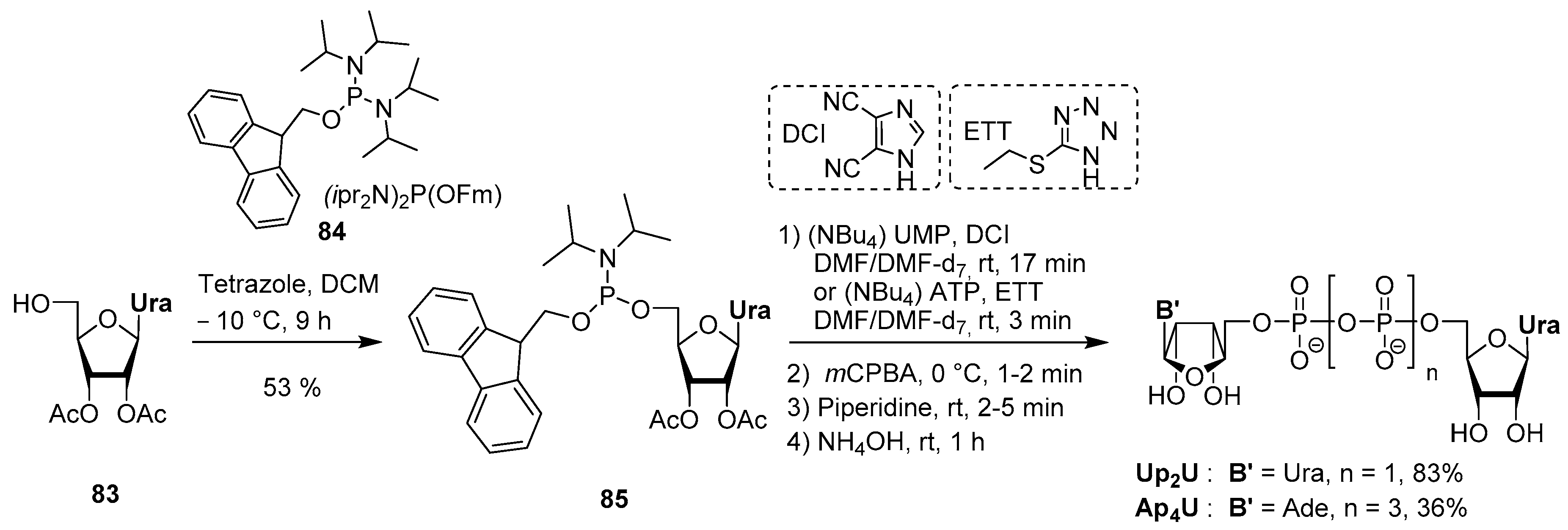 Molecules 24 04334 sch025