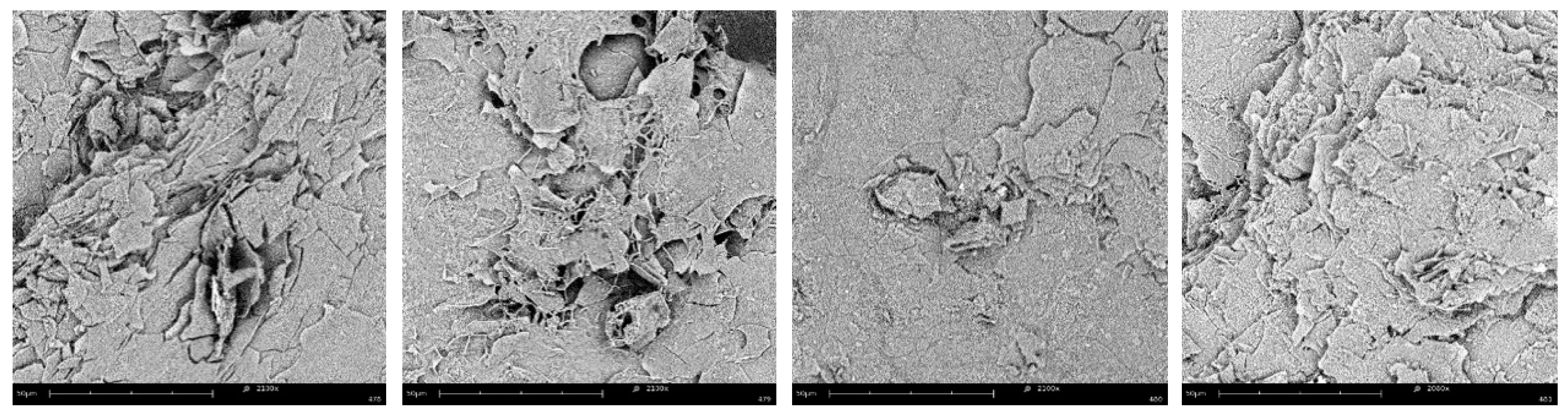 Molecules 24 04345 g004