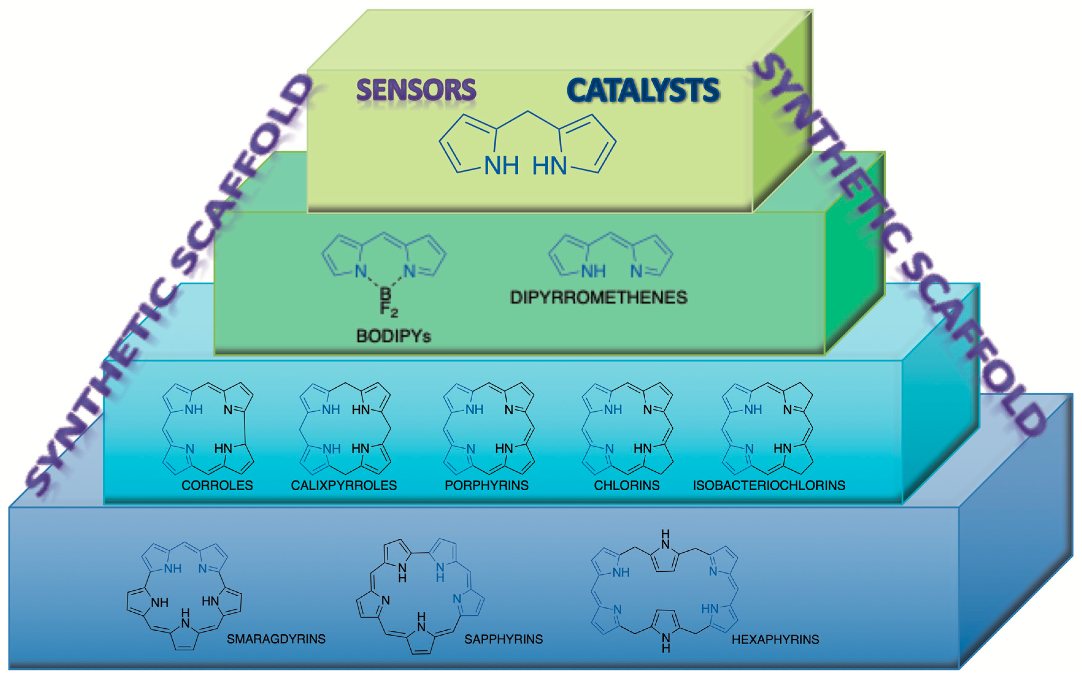 Molecules 24 04348 g001