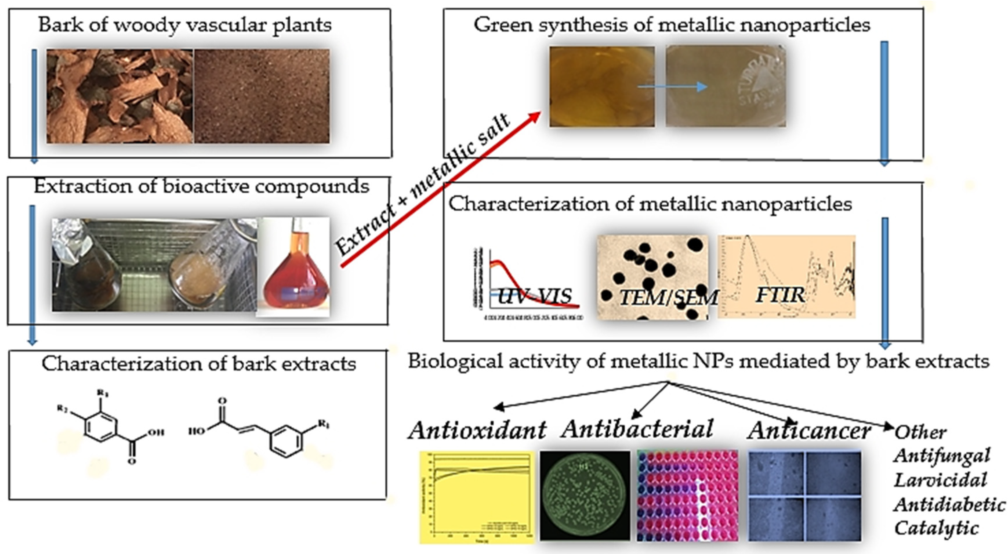 Molecules 24 04354 g001 Molecules 24 04354 g001