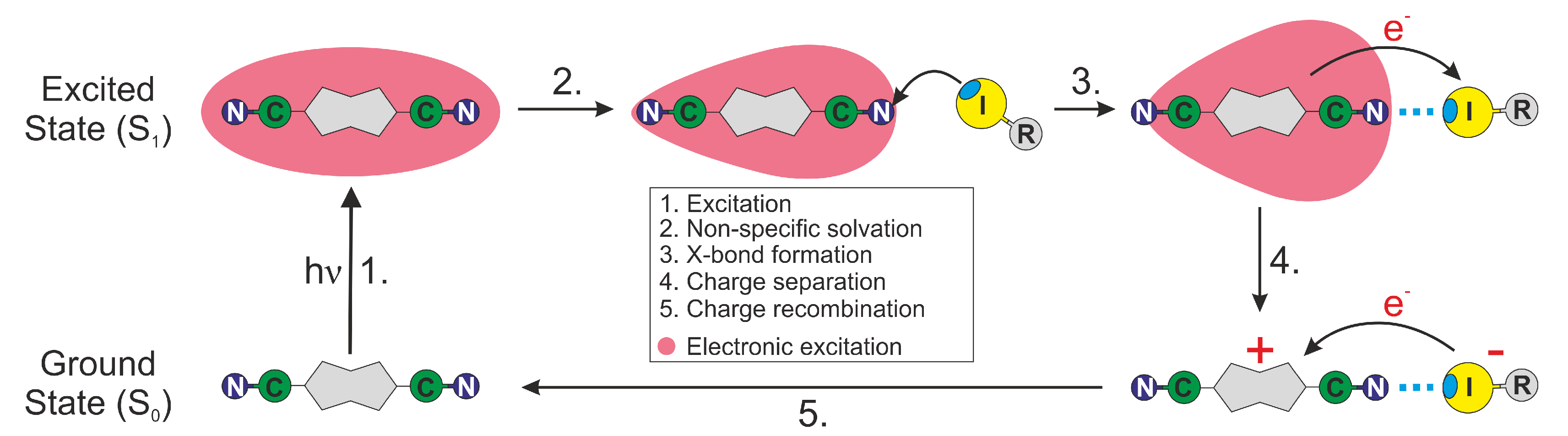 Molecules 24 04361 g008