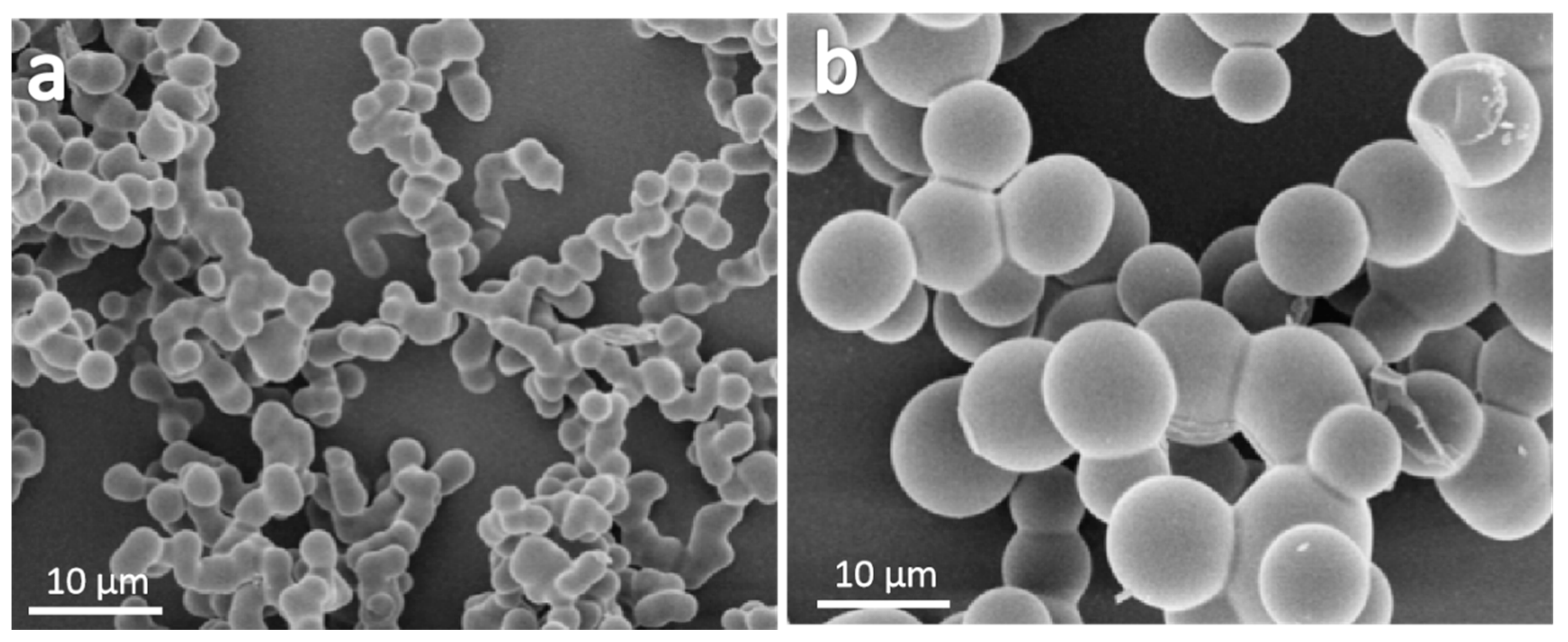 Molecules 24 04366 g005 Molecules 24 04366 g005