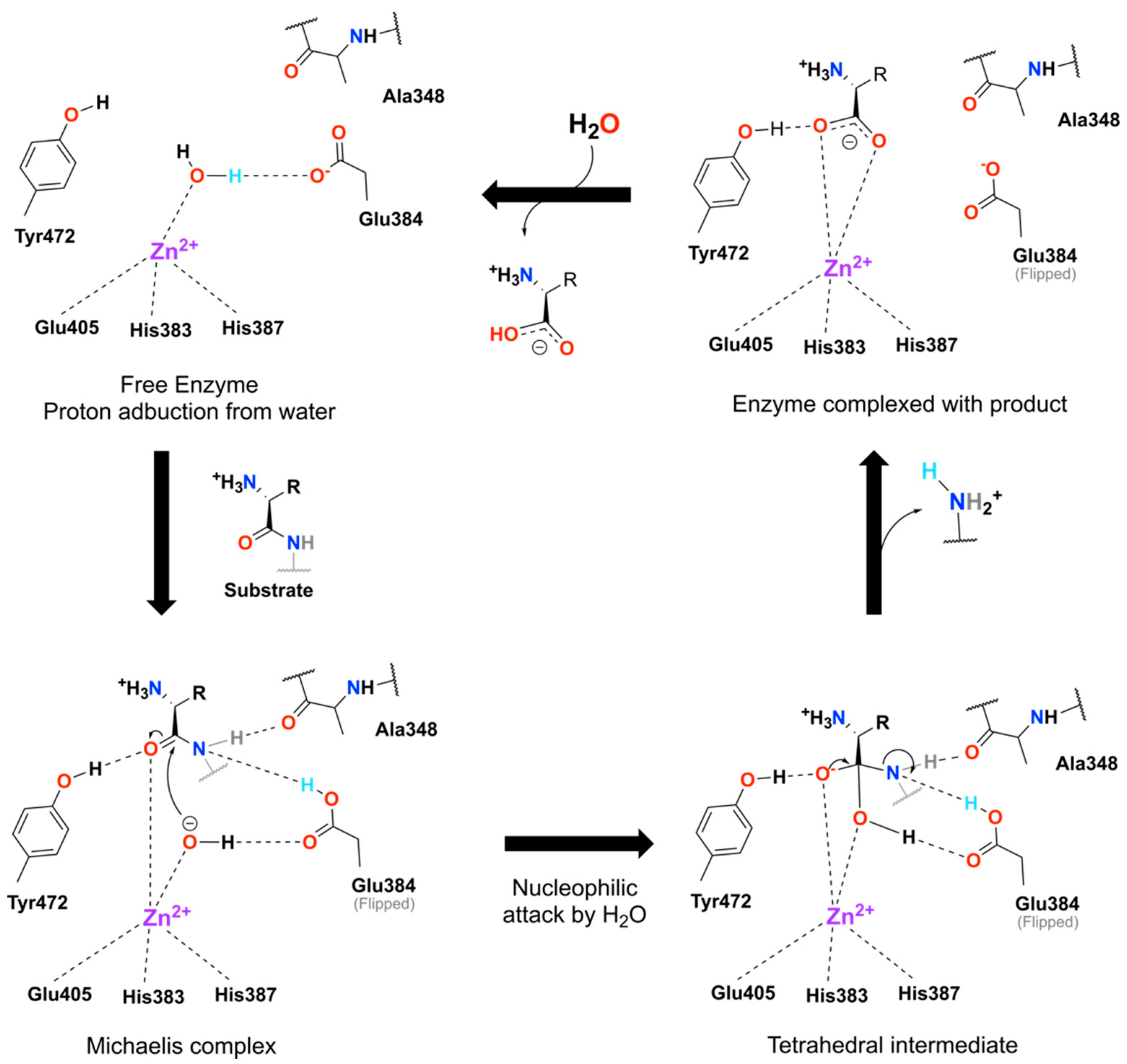 Molecules 24 04369 g001 Molecules 24 04369 g001