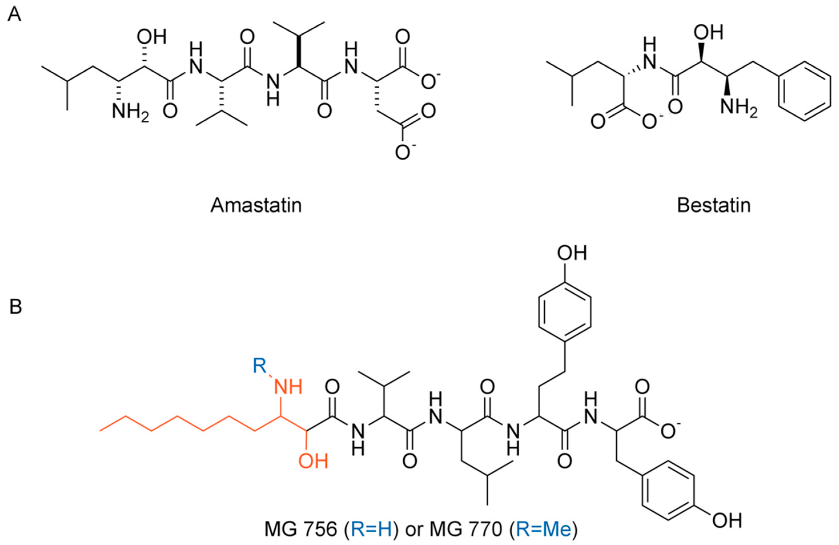Molecules 24 04369 g002 Molecules 24 04369 g002