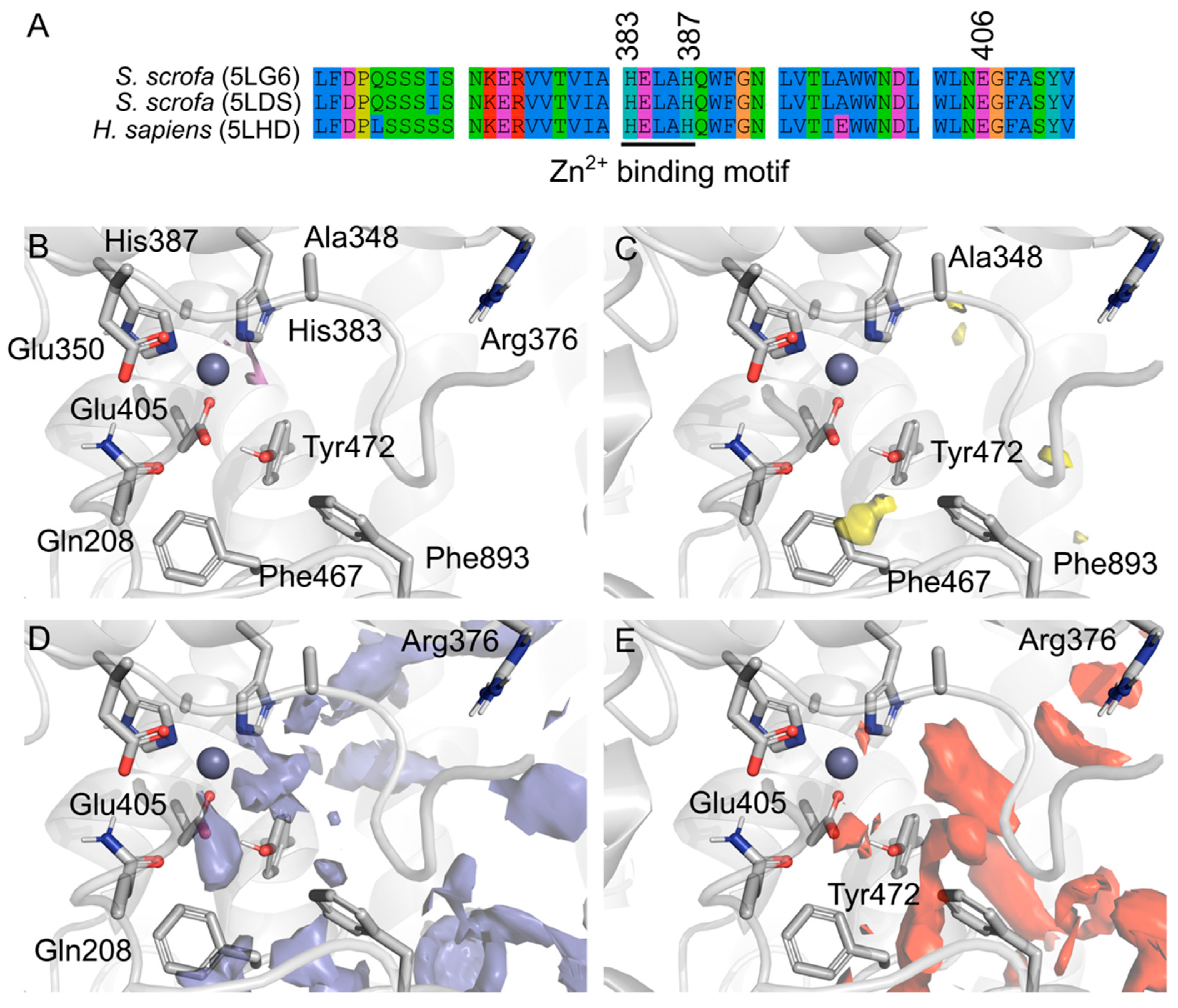 Molecules 24 04369 g003 Molecules 24 04369 g003