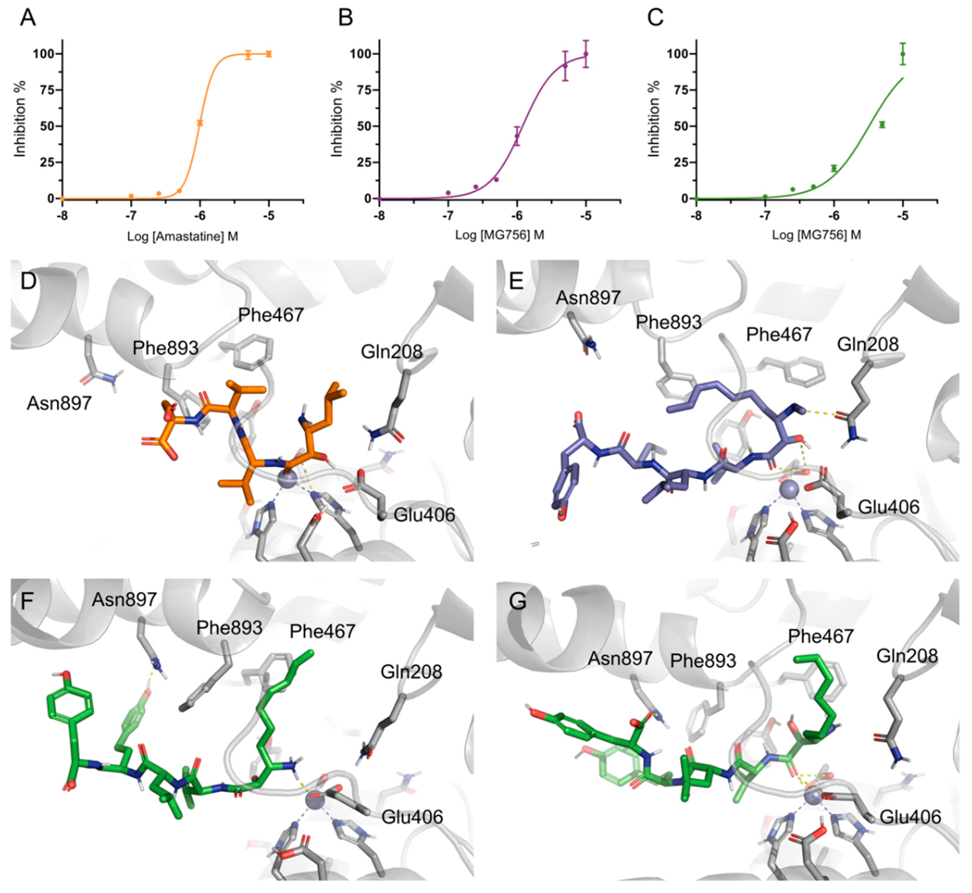 Molecules 24 04369 g006 Molecules 24 04369 g006