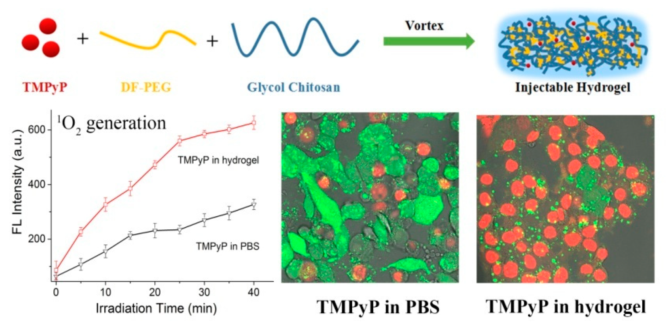 Molecules 24 04371 g005