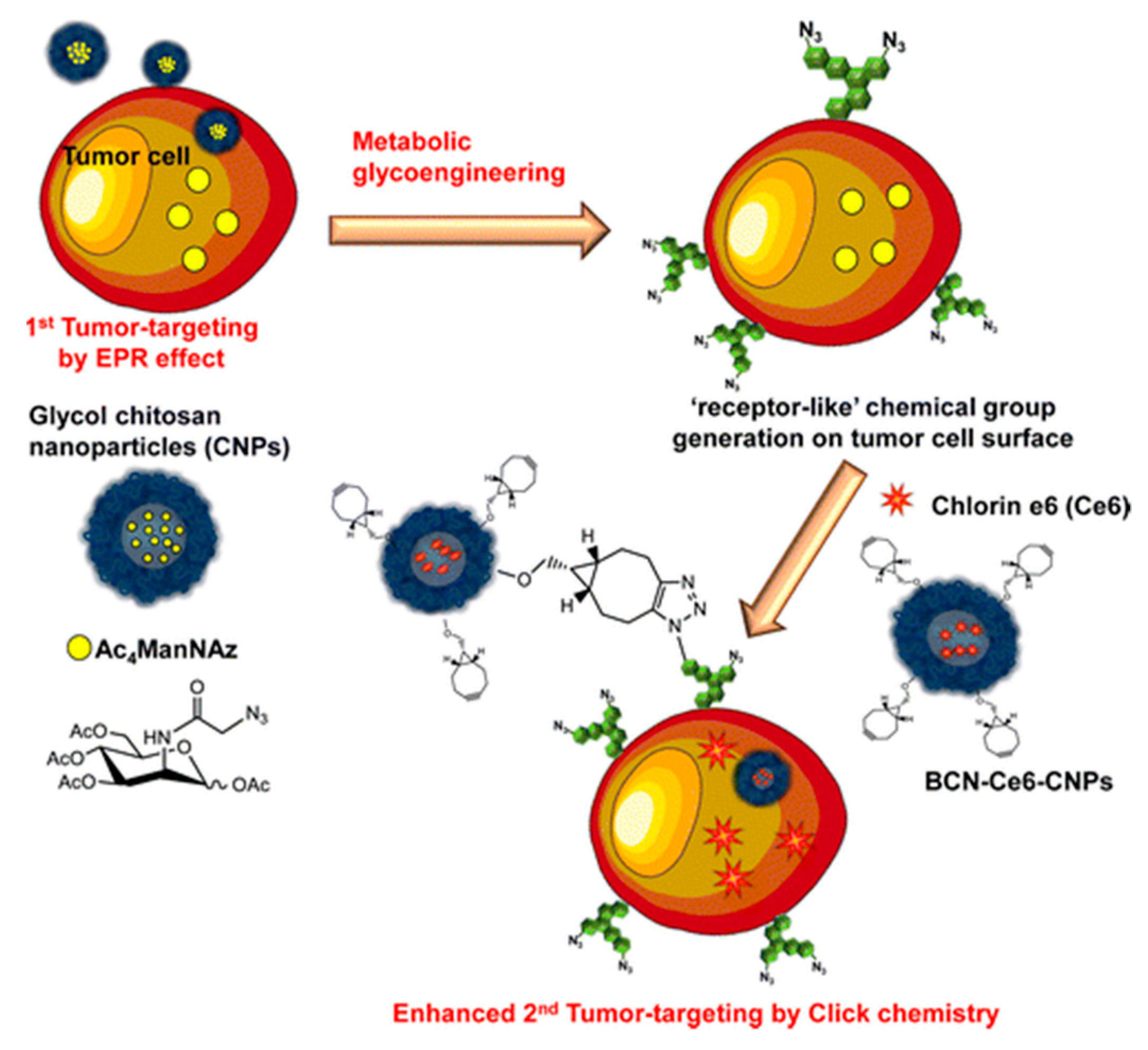 Molecules 24 04371 g006