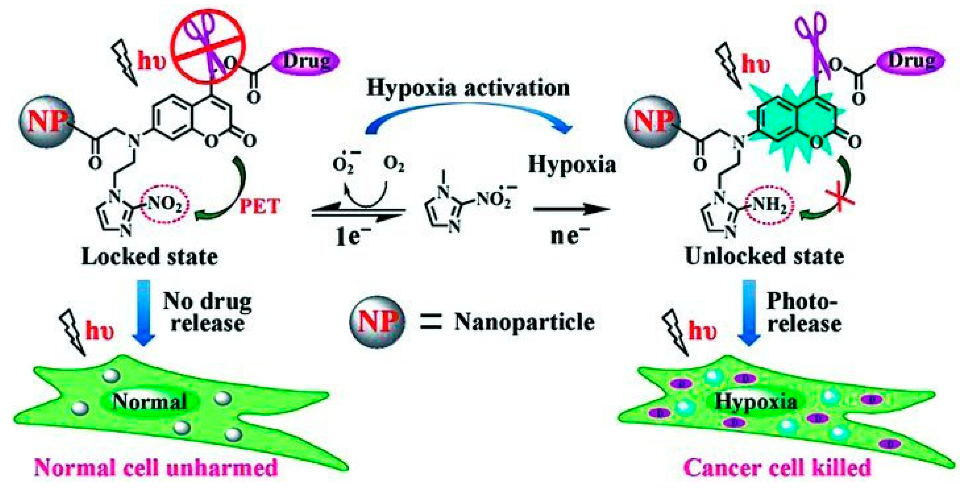 Molecules 24 04371 g007