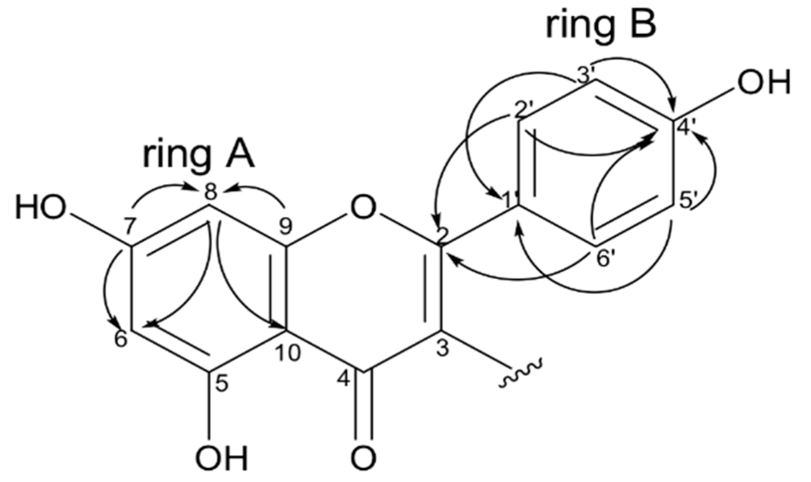 Molecules 24 04375 g007