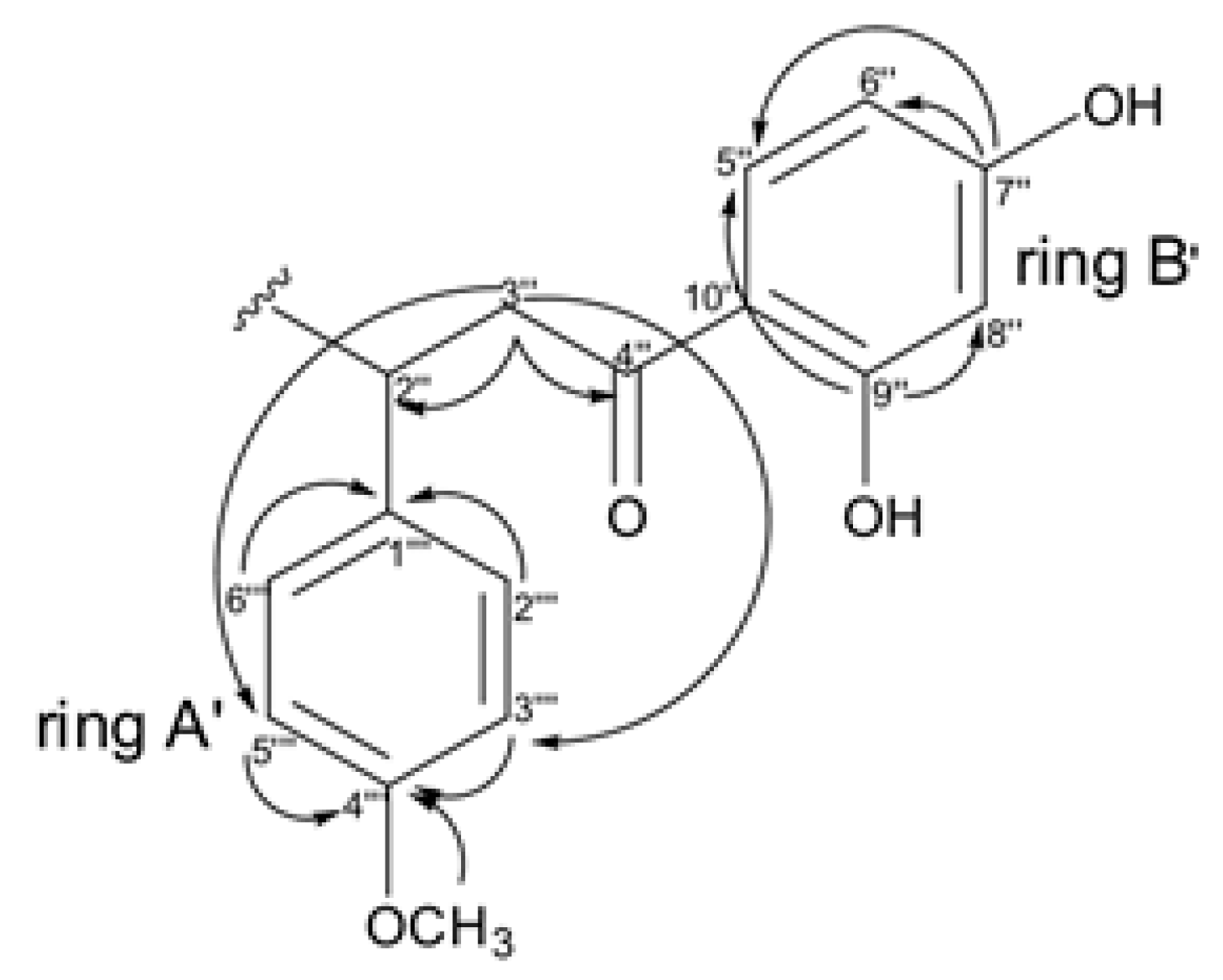 Molecules 24 04375 g008